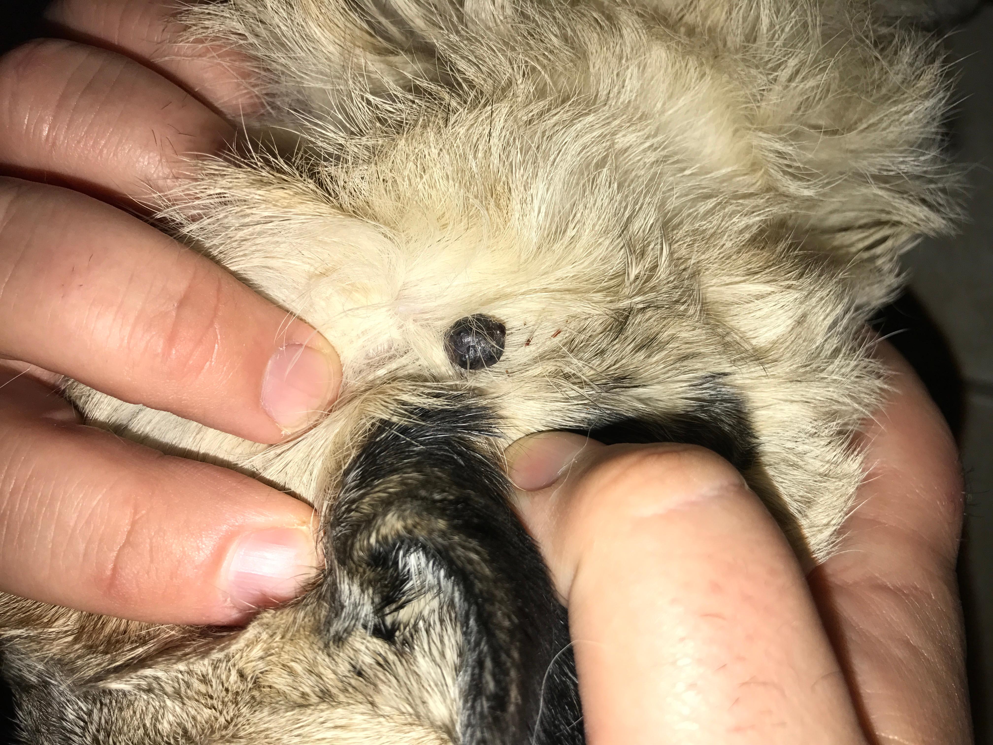 Question details sensitive content