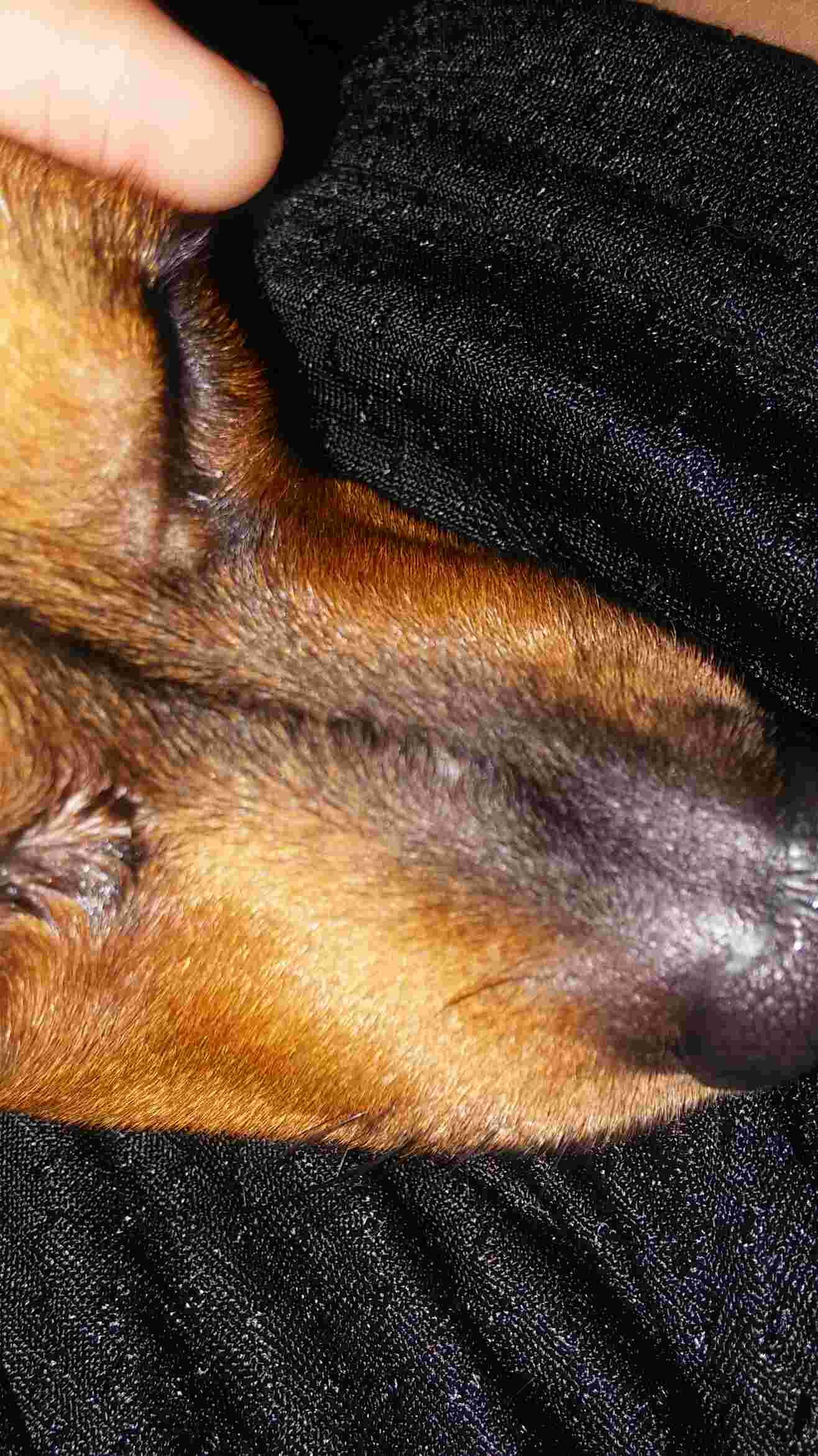 Question details sensitive content