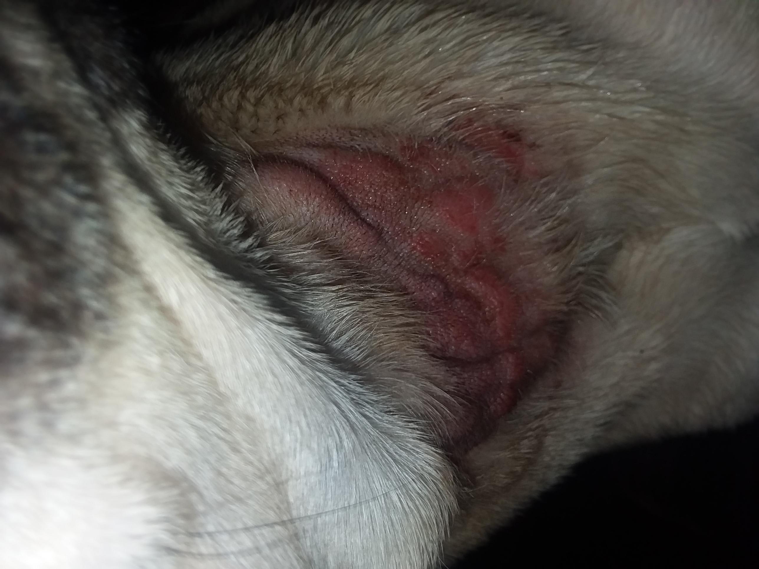 Question details sensitive content