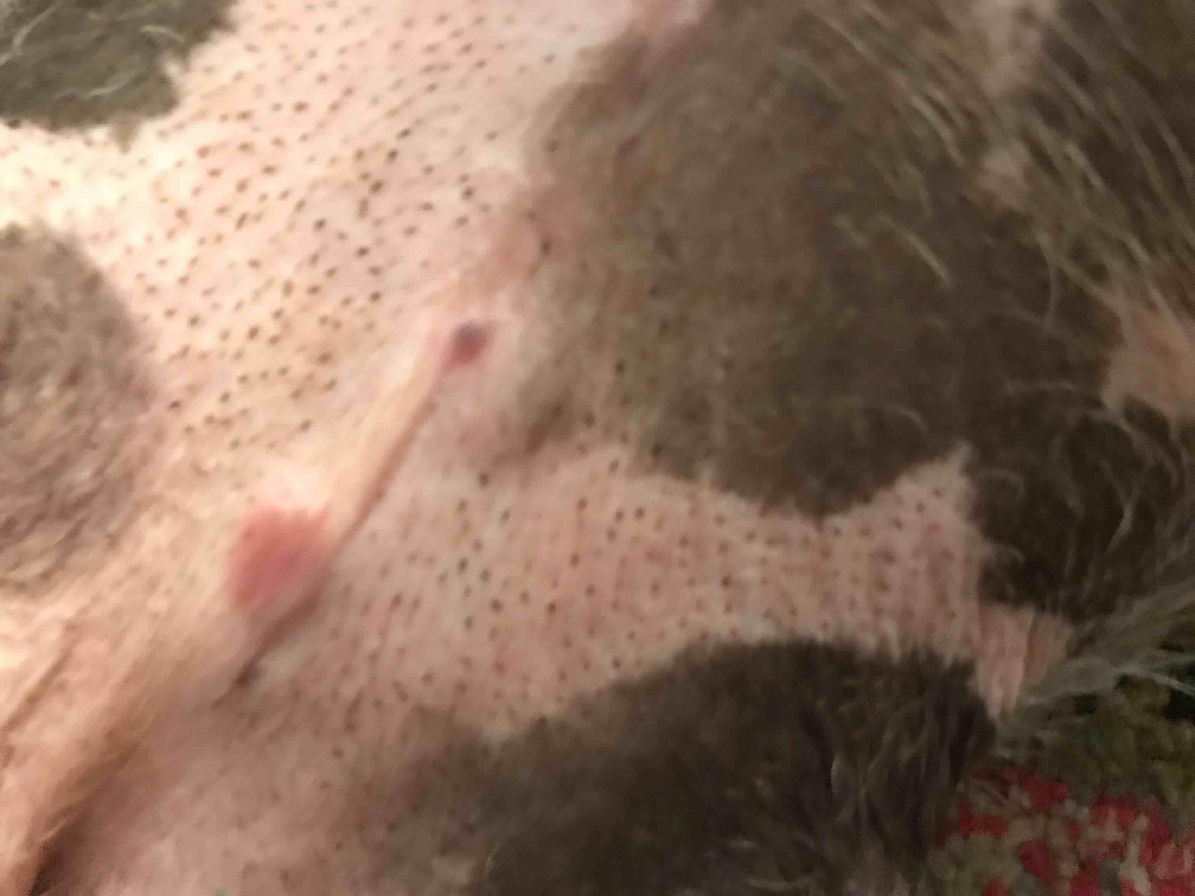 Question details sensitive content