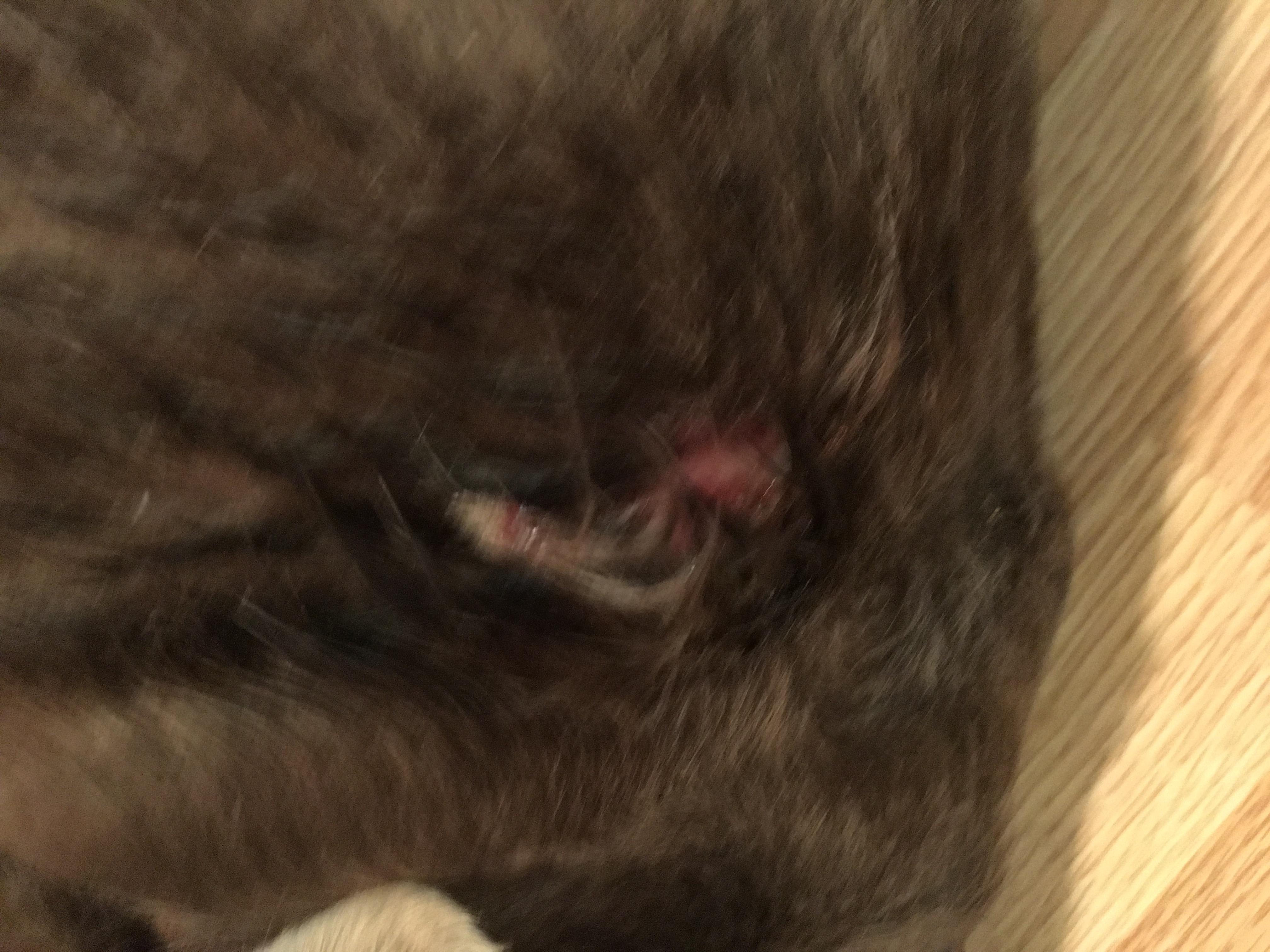 Question details sensitive content