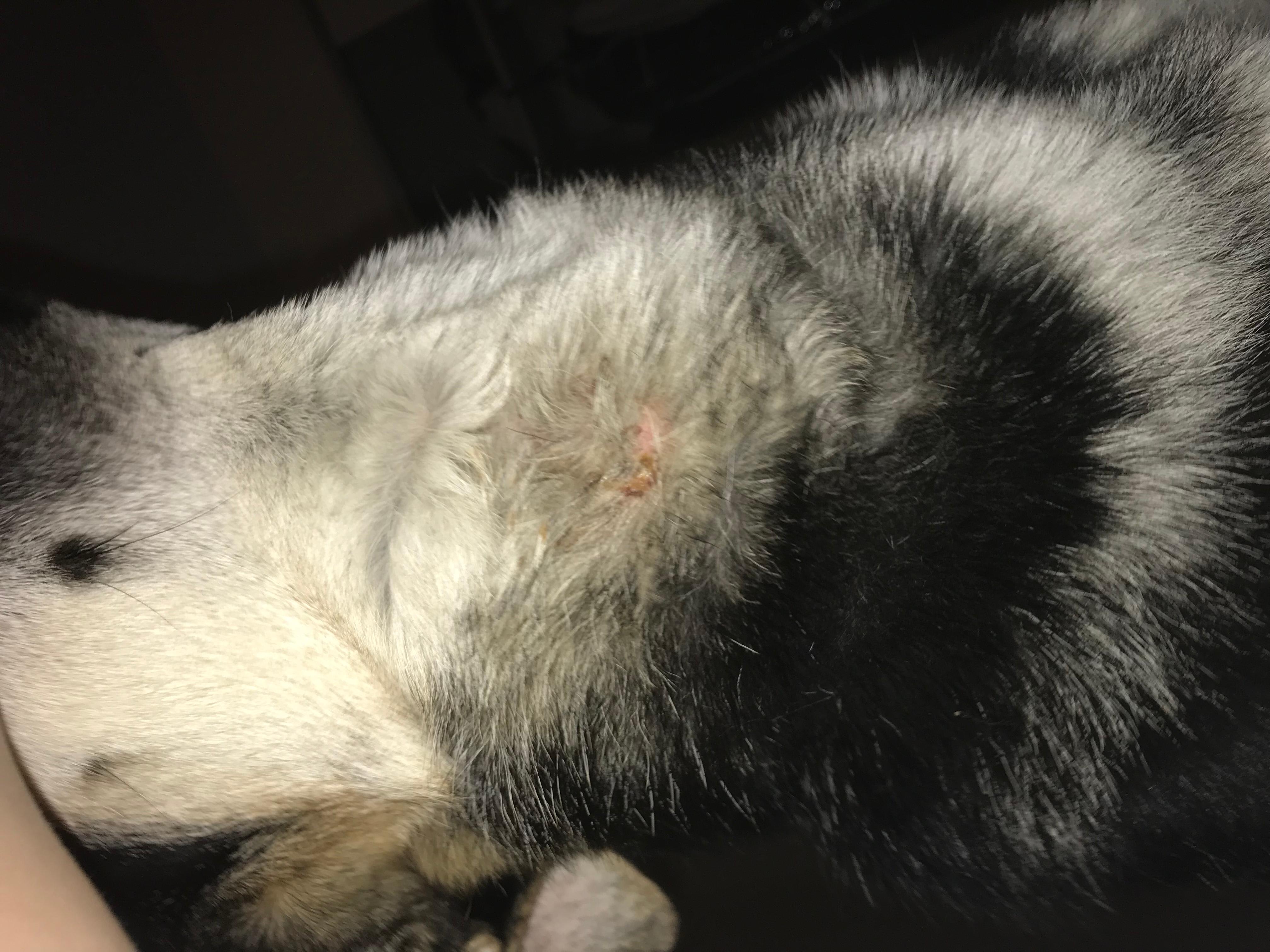 Question details sensitive content