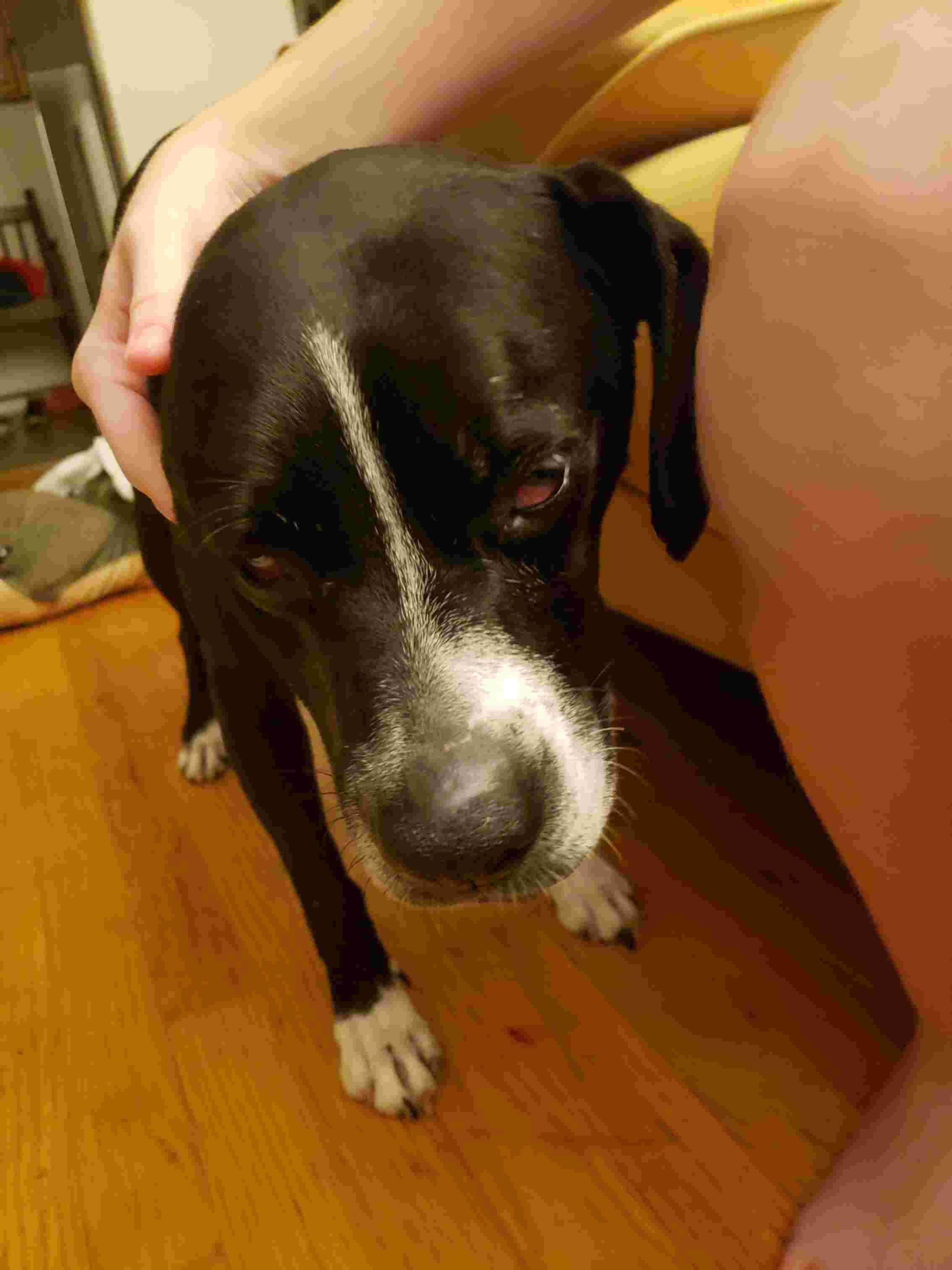 Question details sensitive content