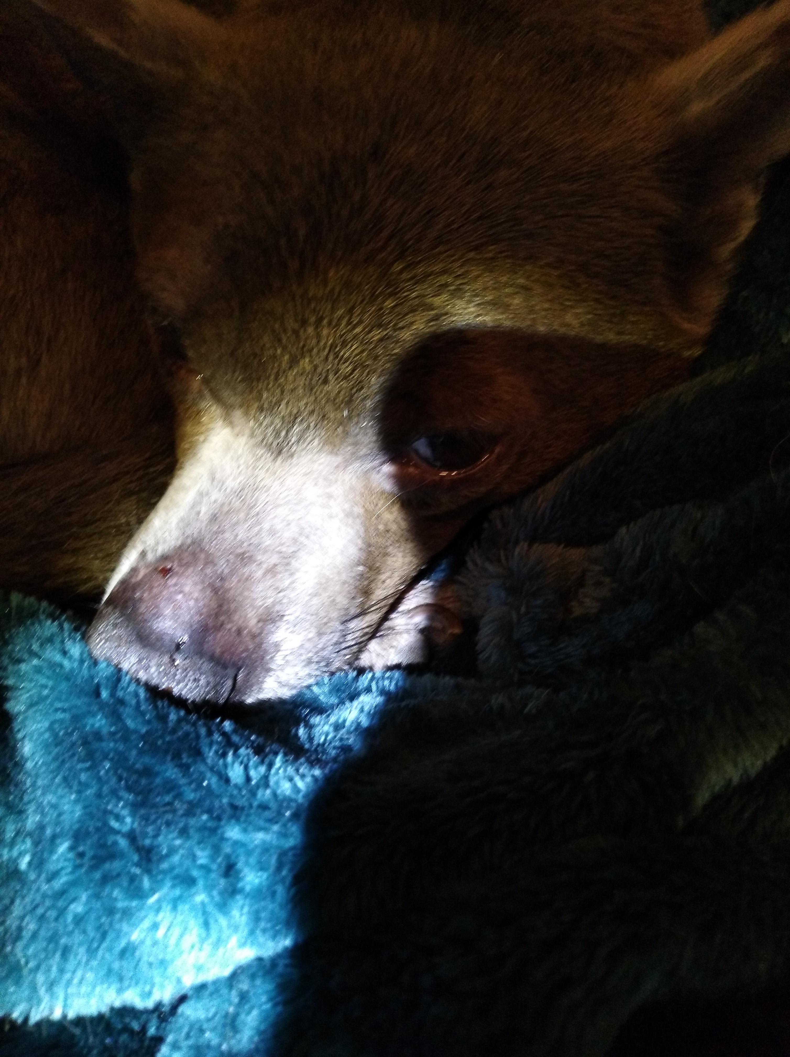 Question details sensitive content