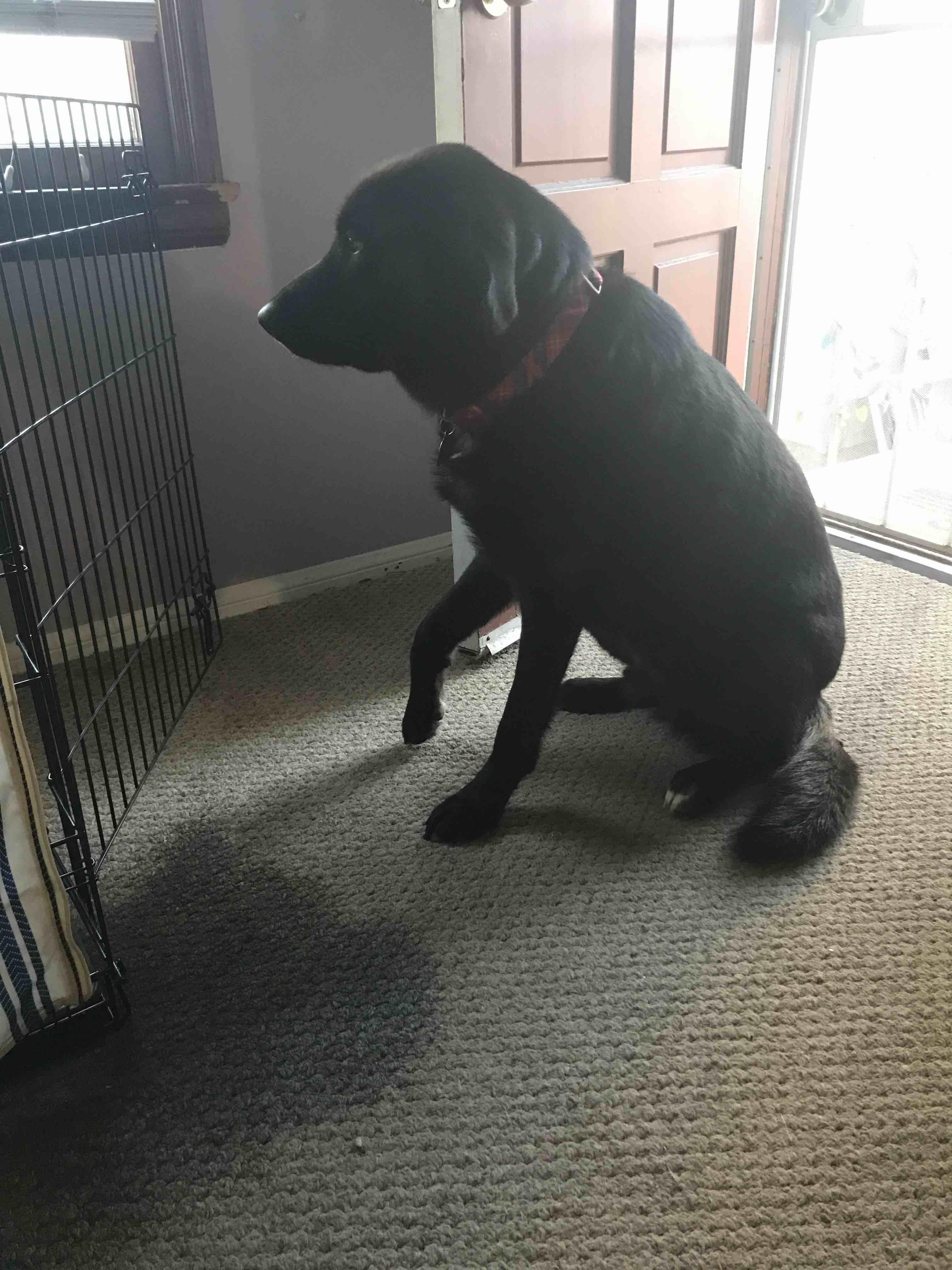 Question details sensitive content