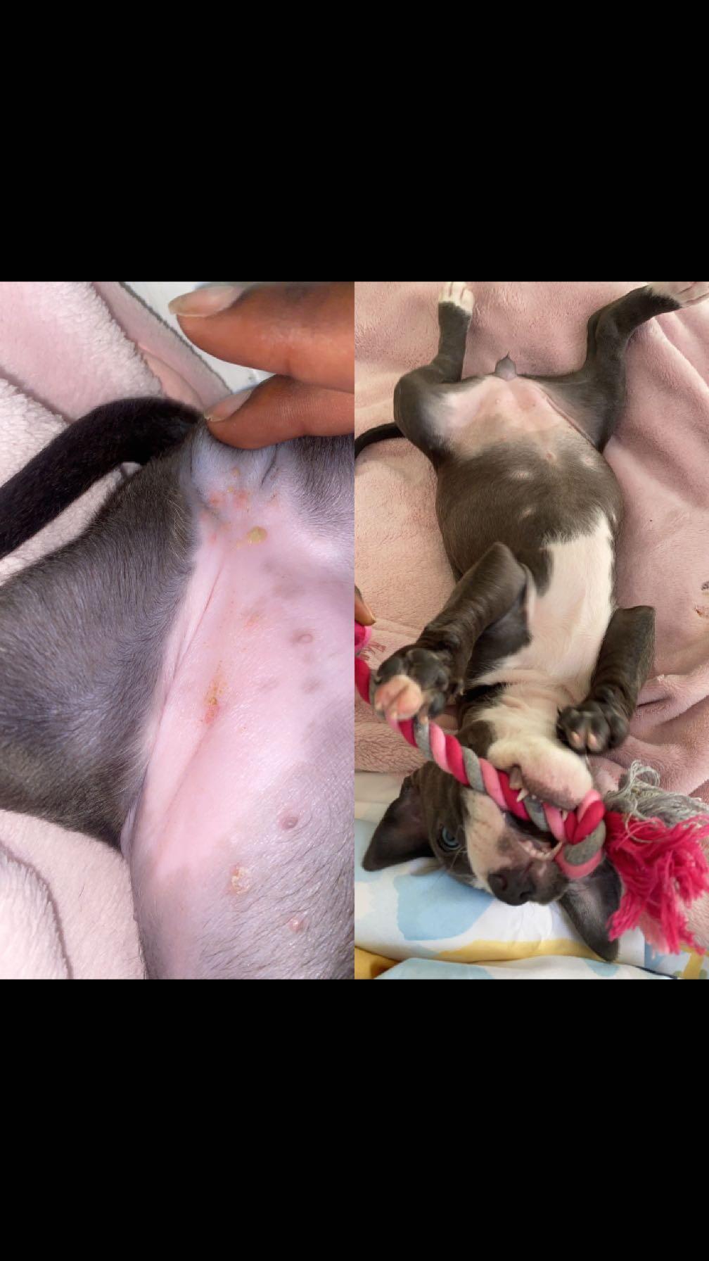 Question details sensitive content