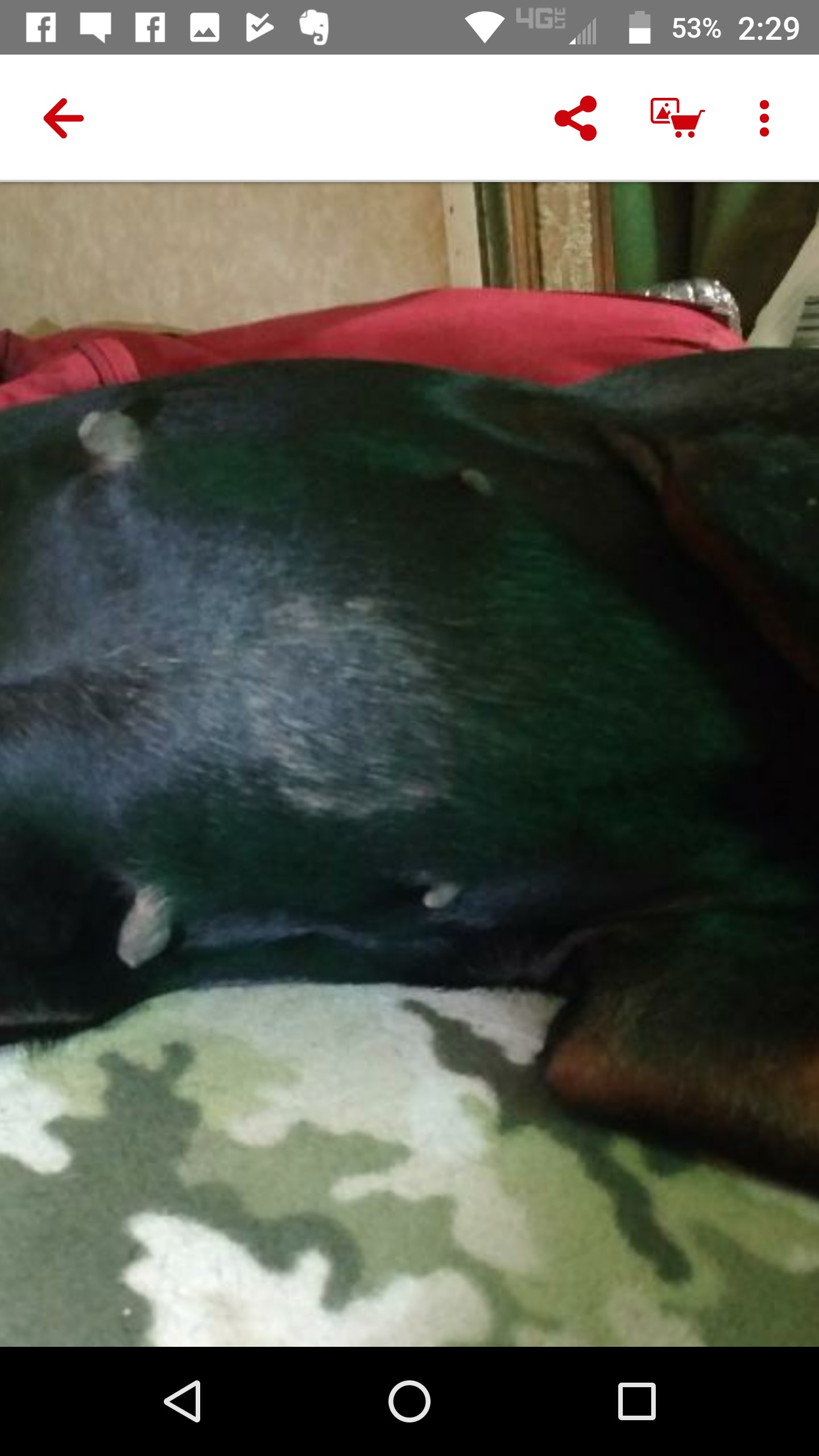 Question details sensitive content