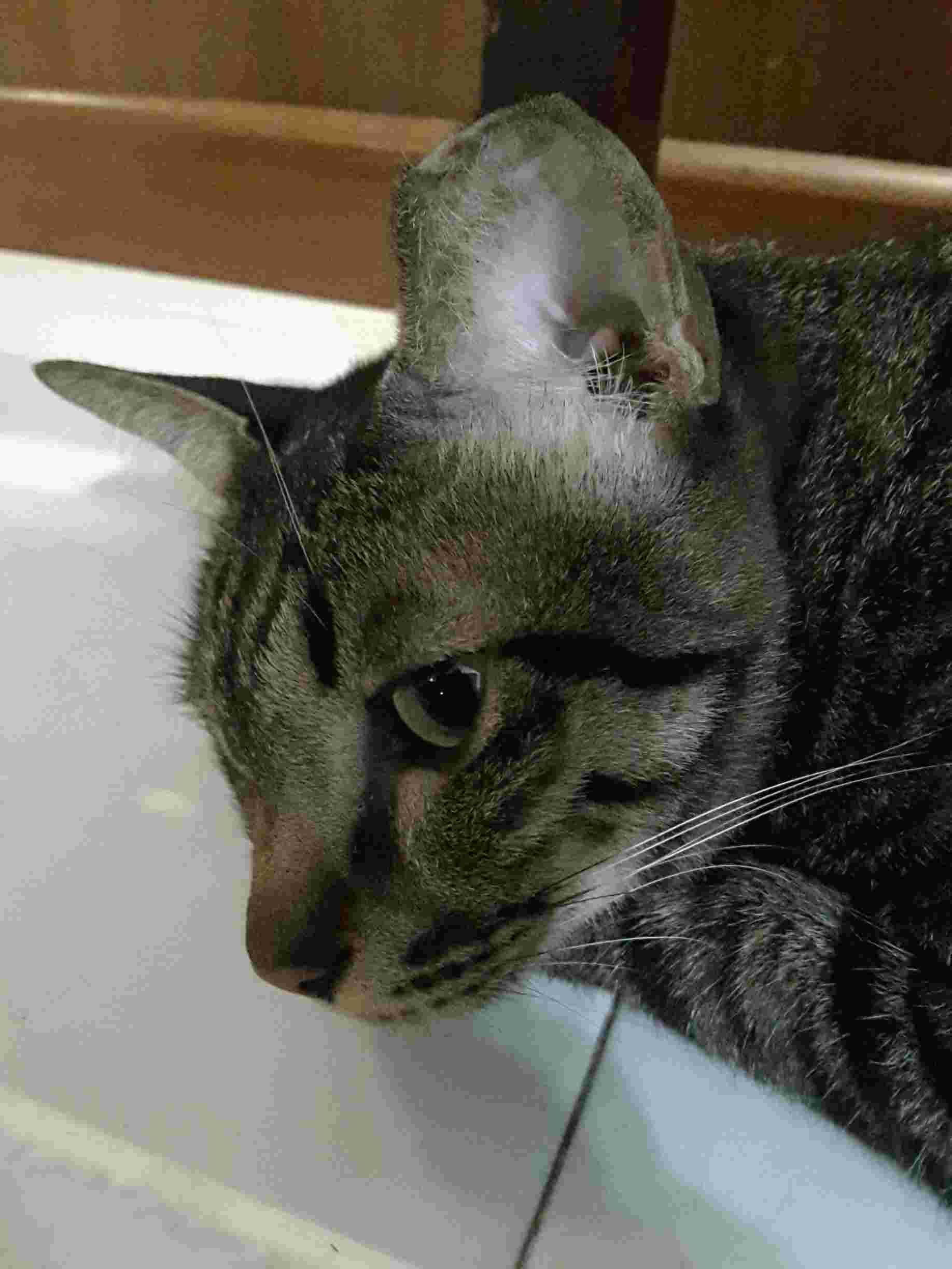 Question details sensitive content