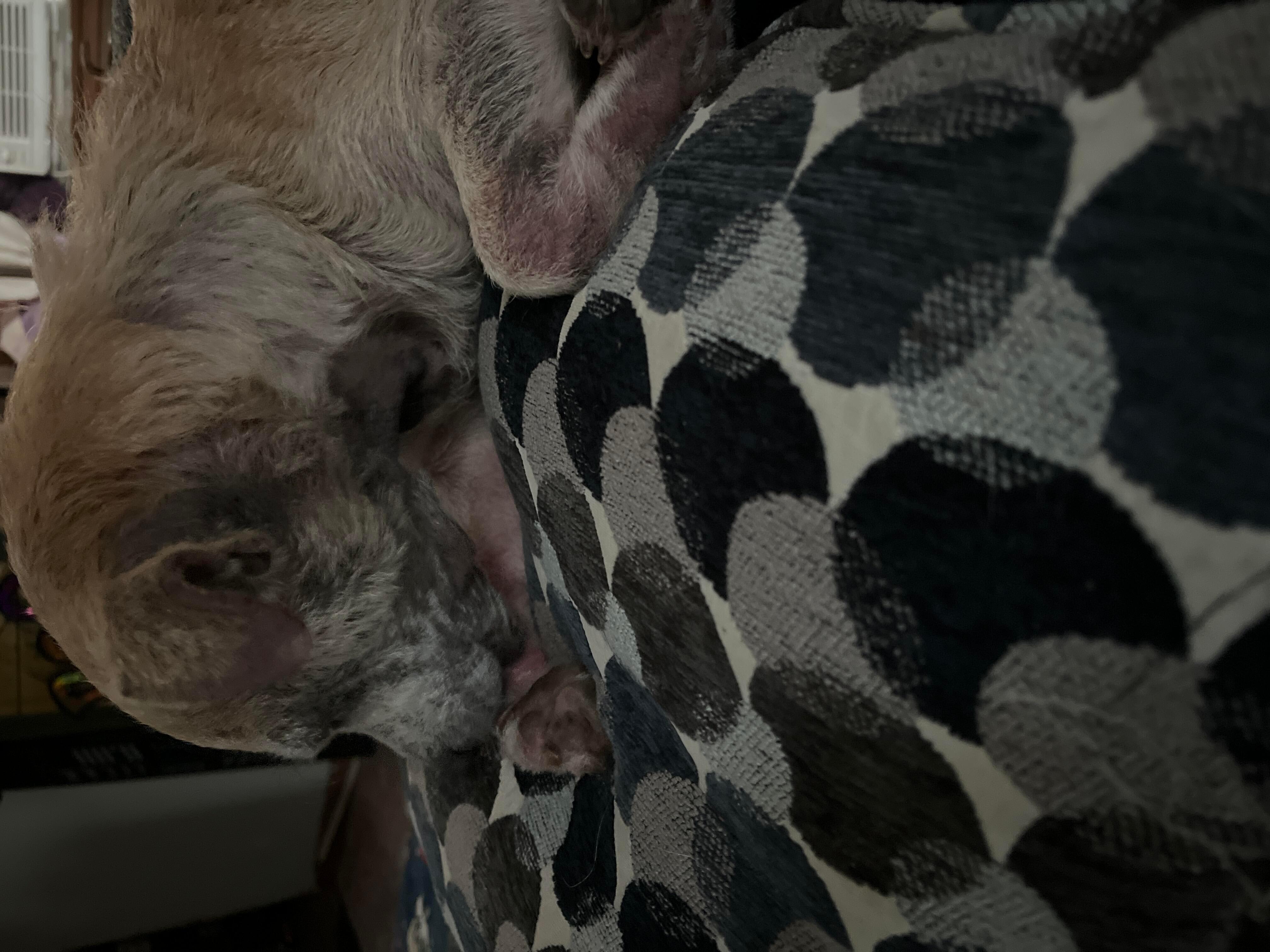 Question details sensitive content