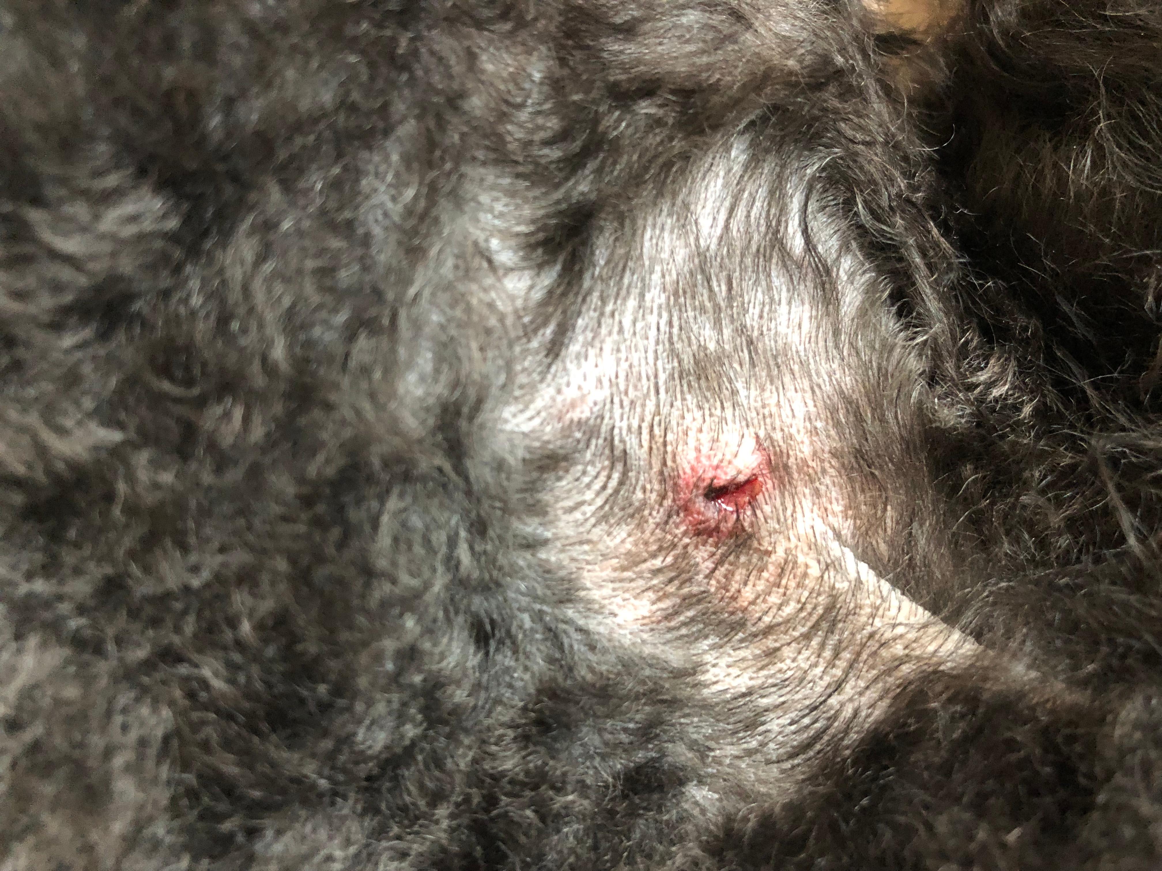 Question details sensitive content