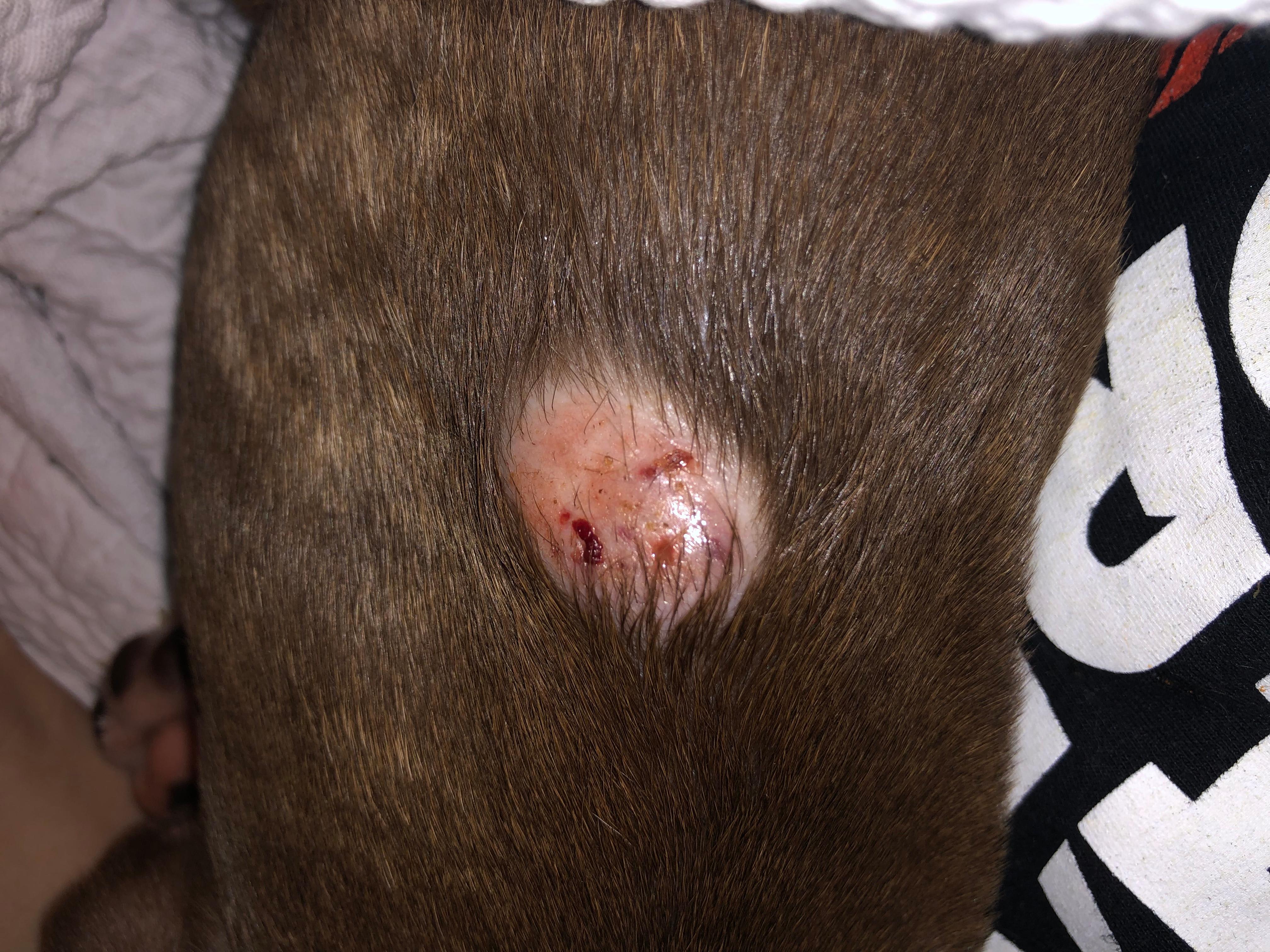 Question details sensitive content