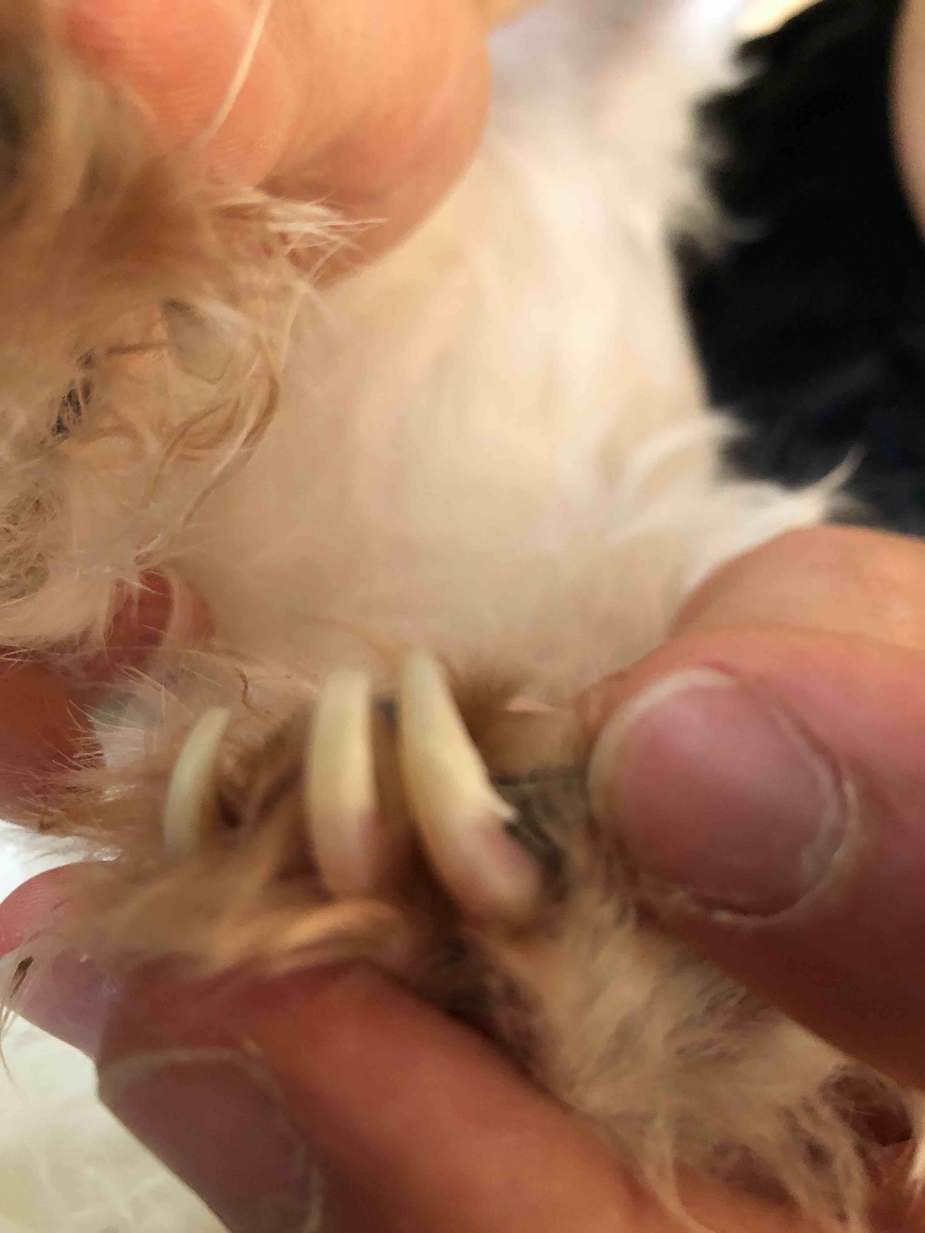 Question details sensitive content