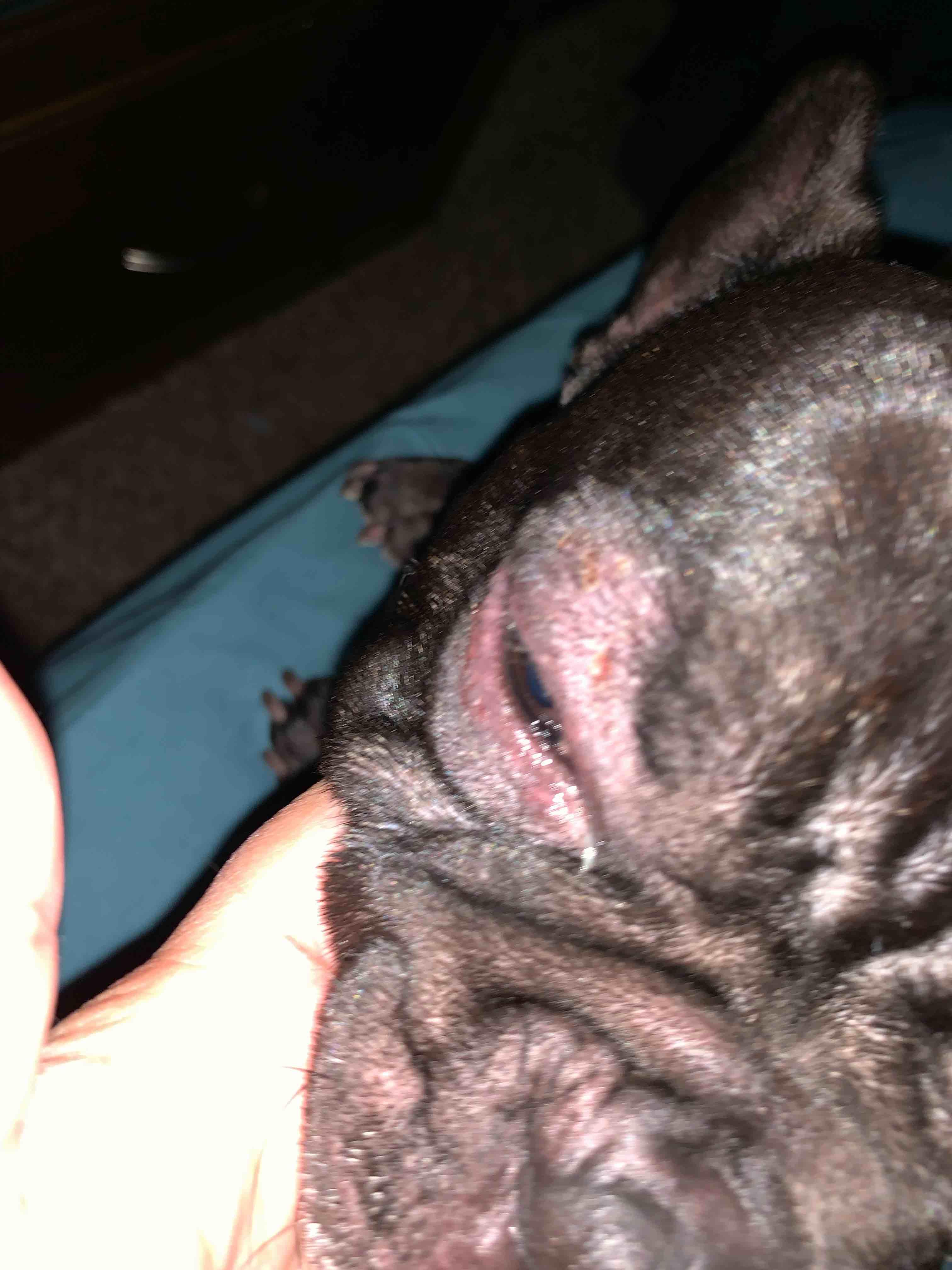 Question details sensitive content