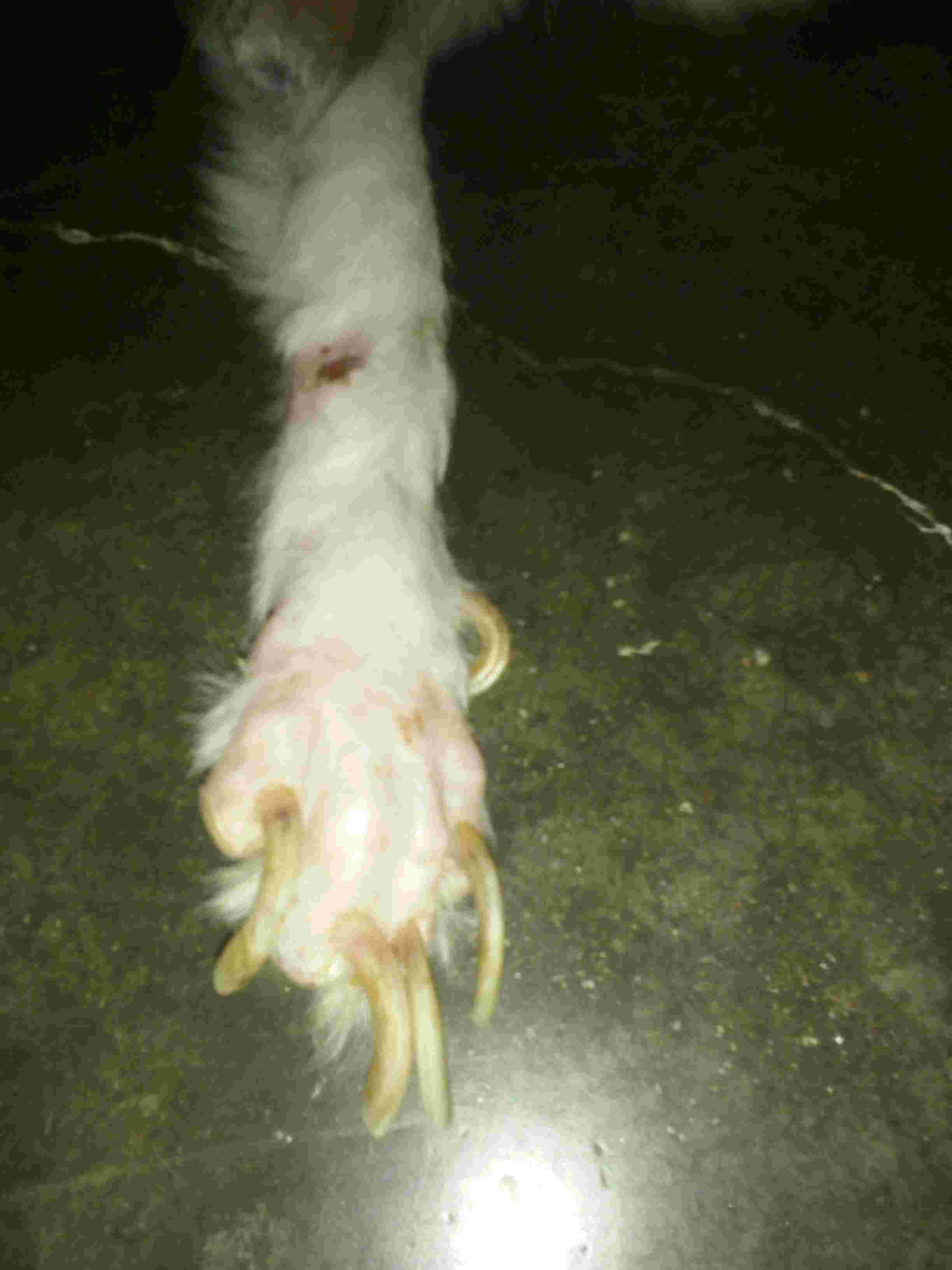 Question details sensitive content