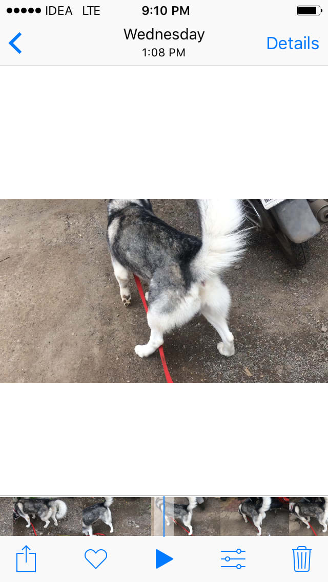 Question details sensitive content