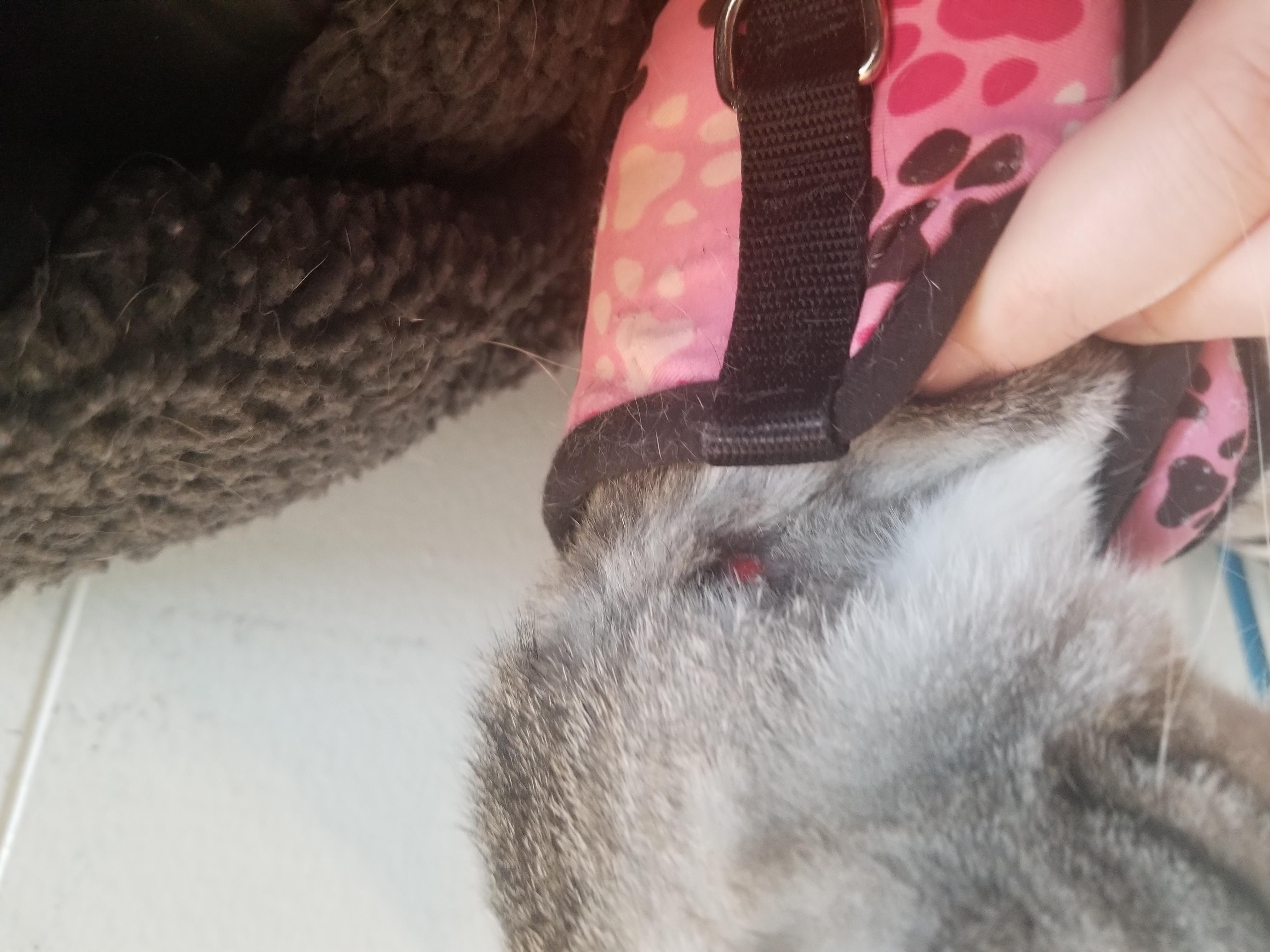 Question details sensitive content