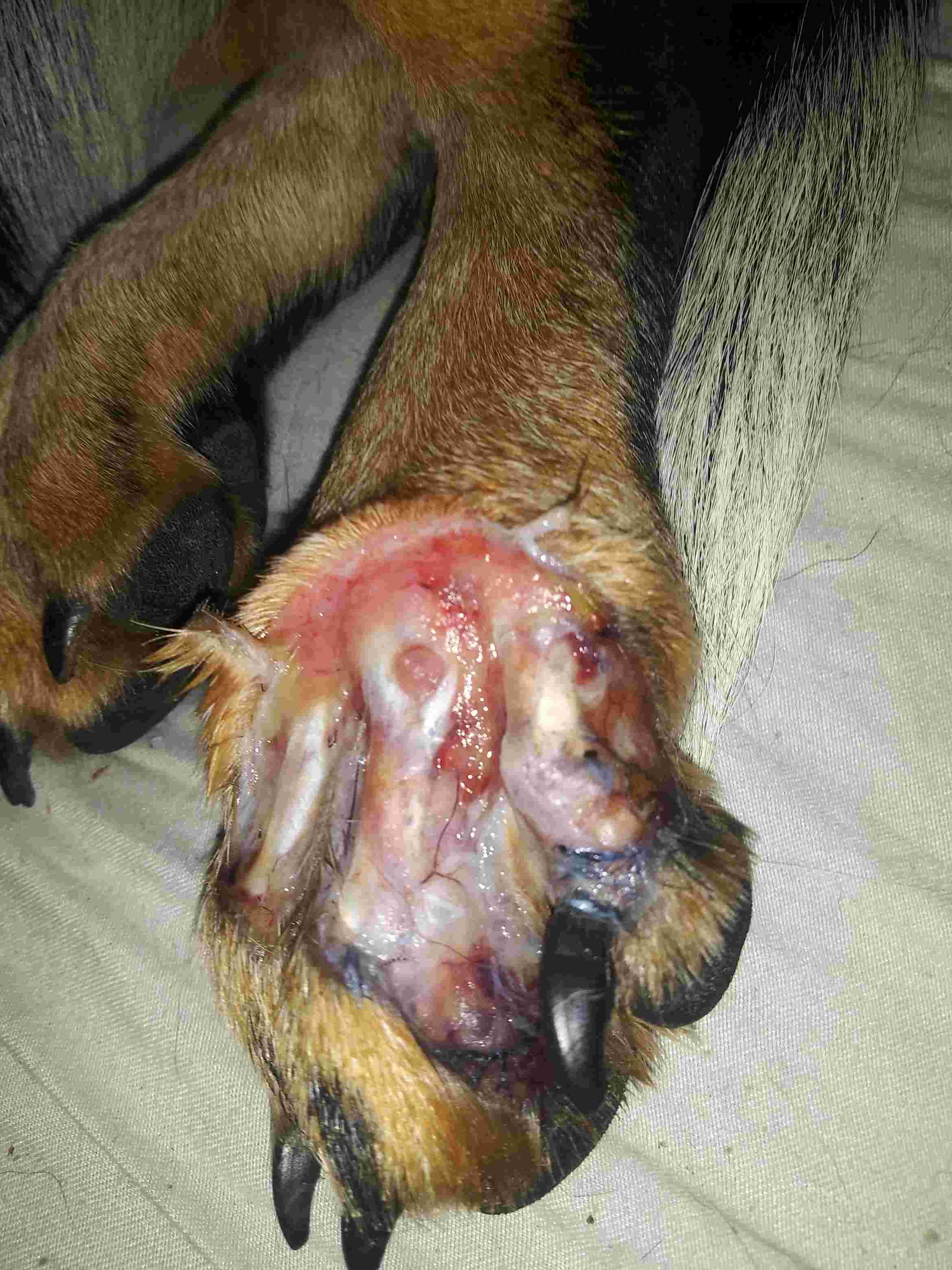 Question details sensitive content