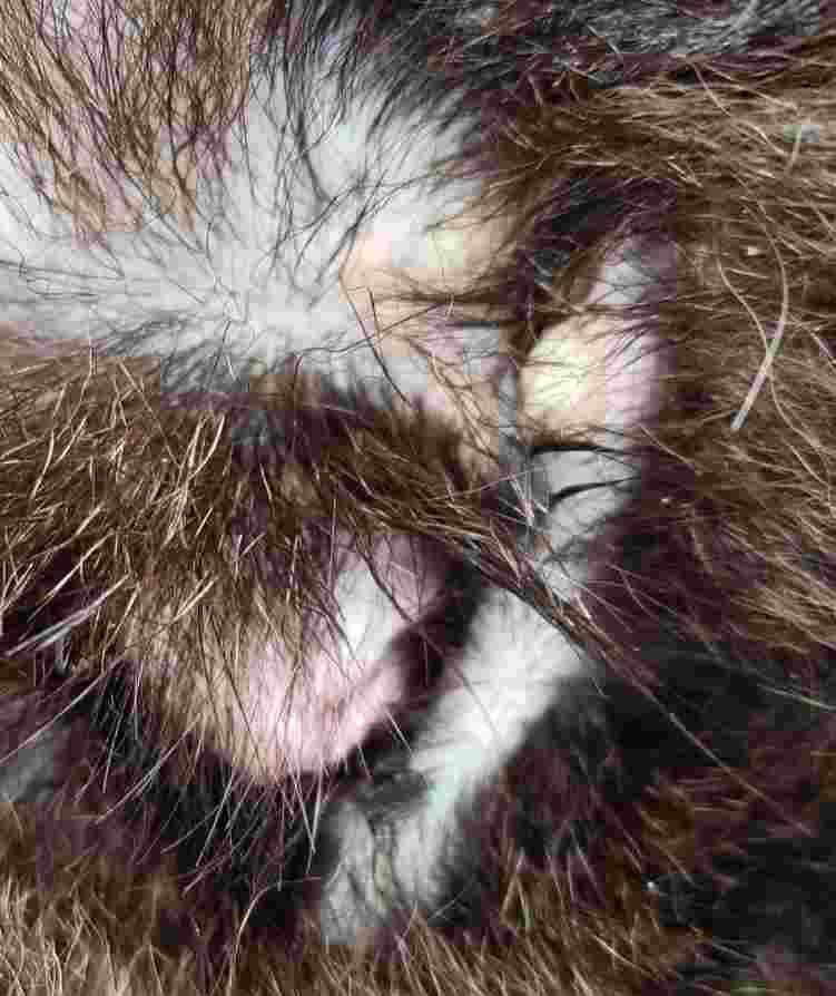 Question details sensitive content