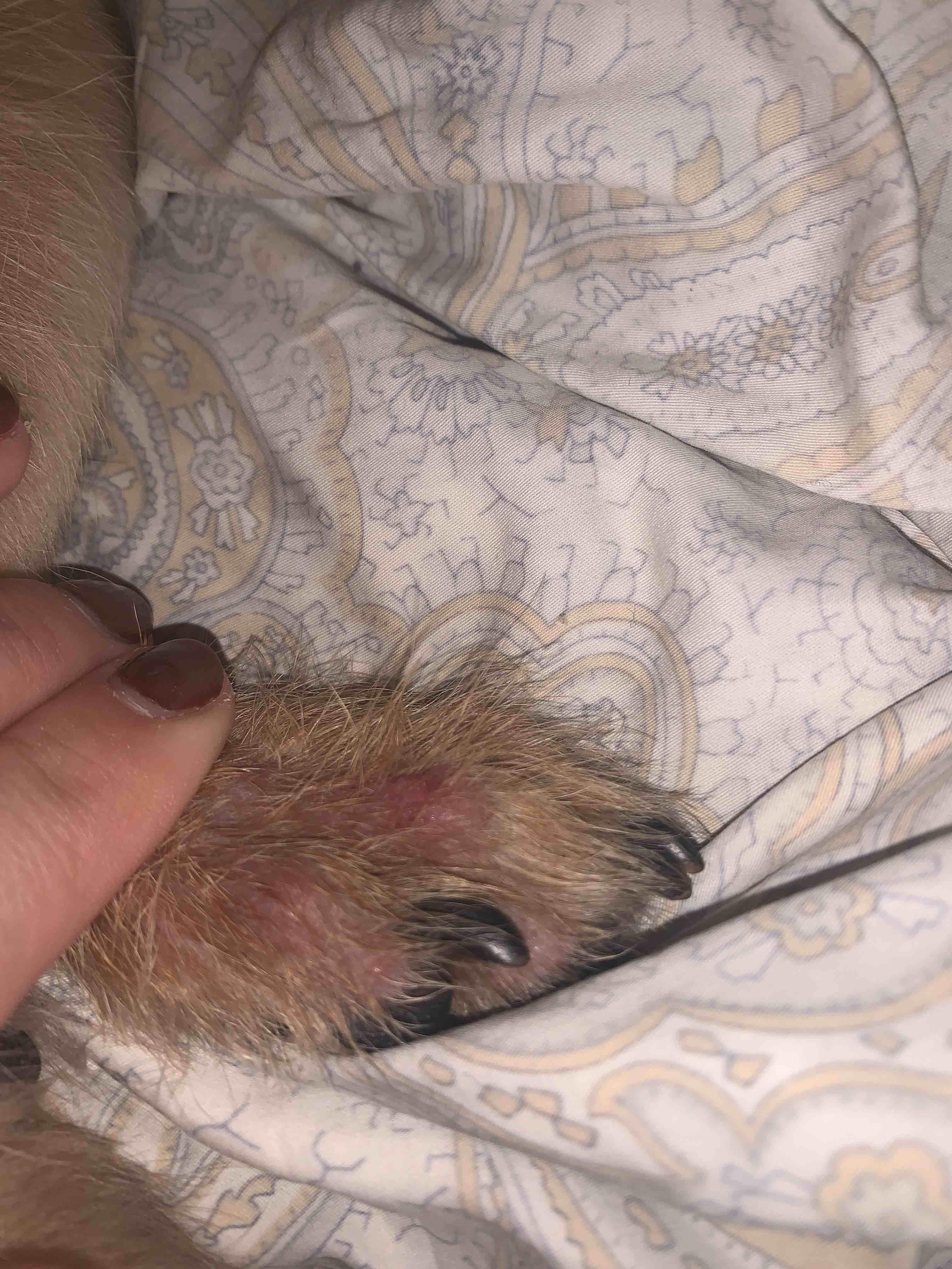 Question details sensitive content