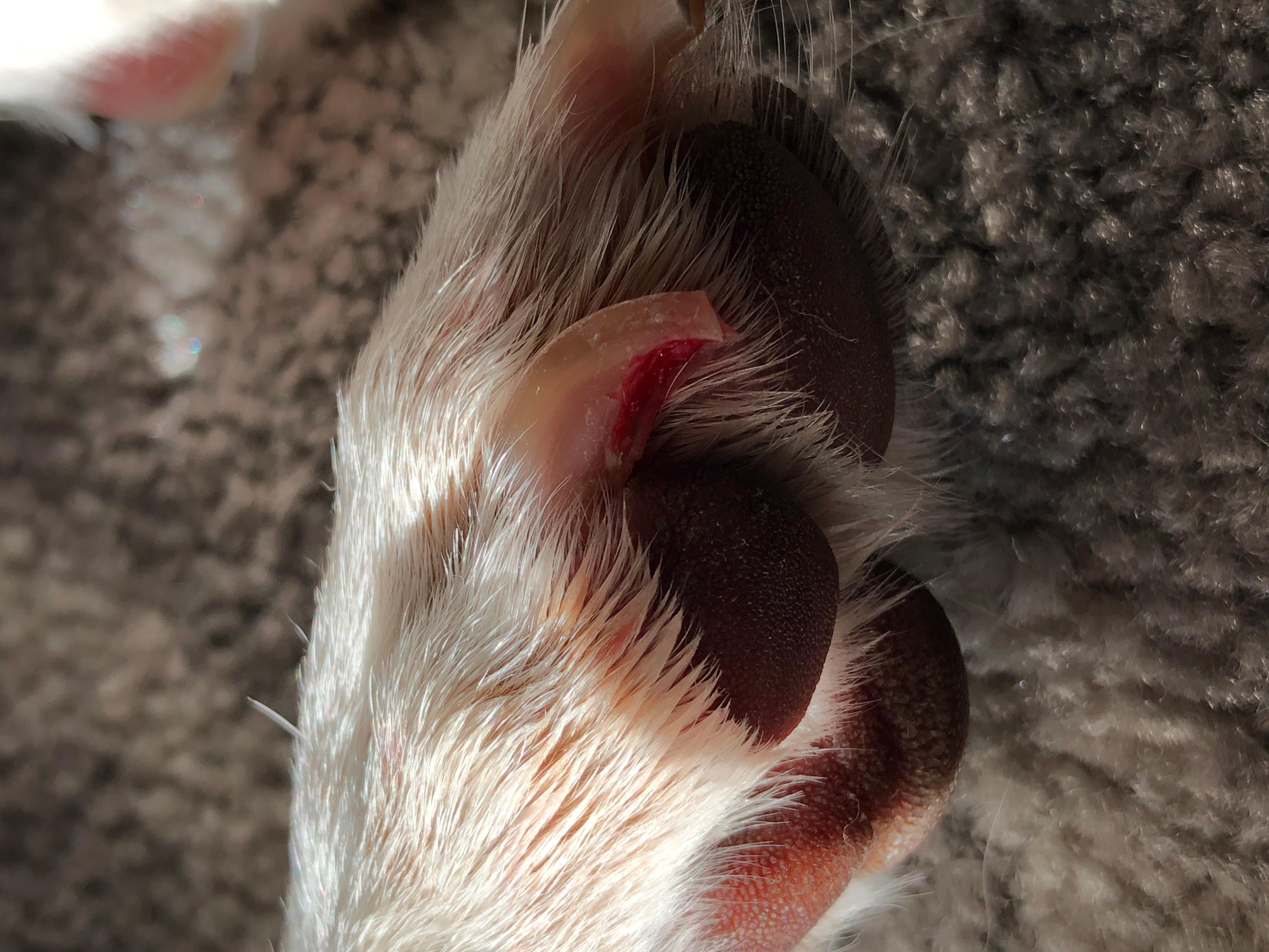 Question details sensitive content