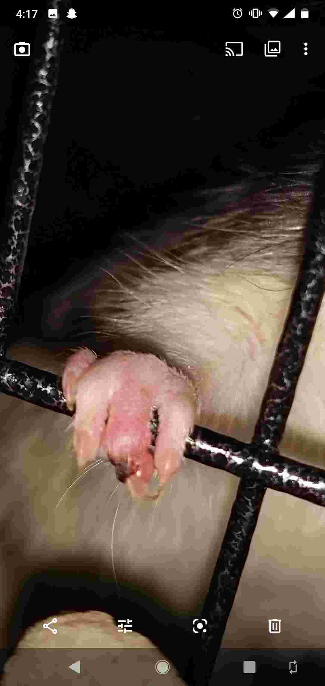 Question details sensitive content