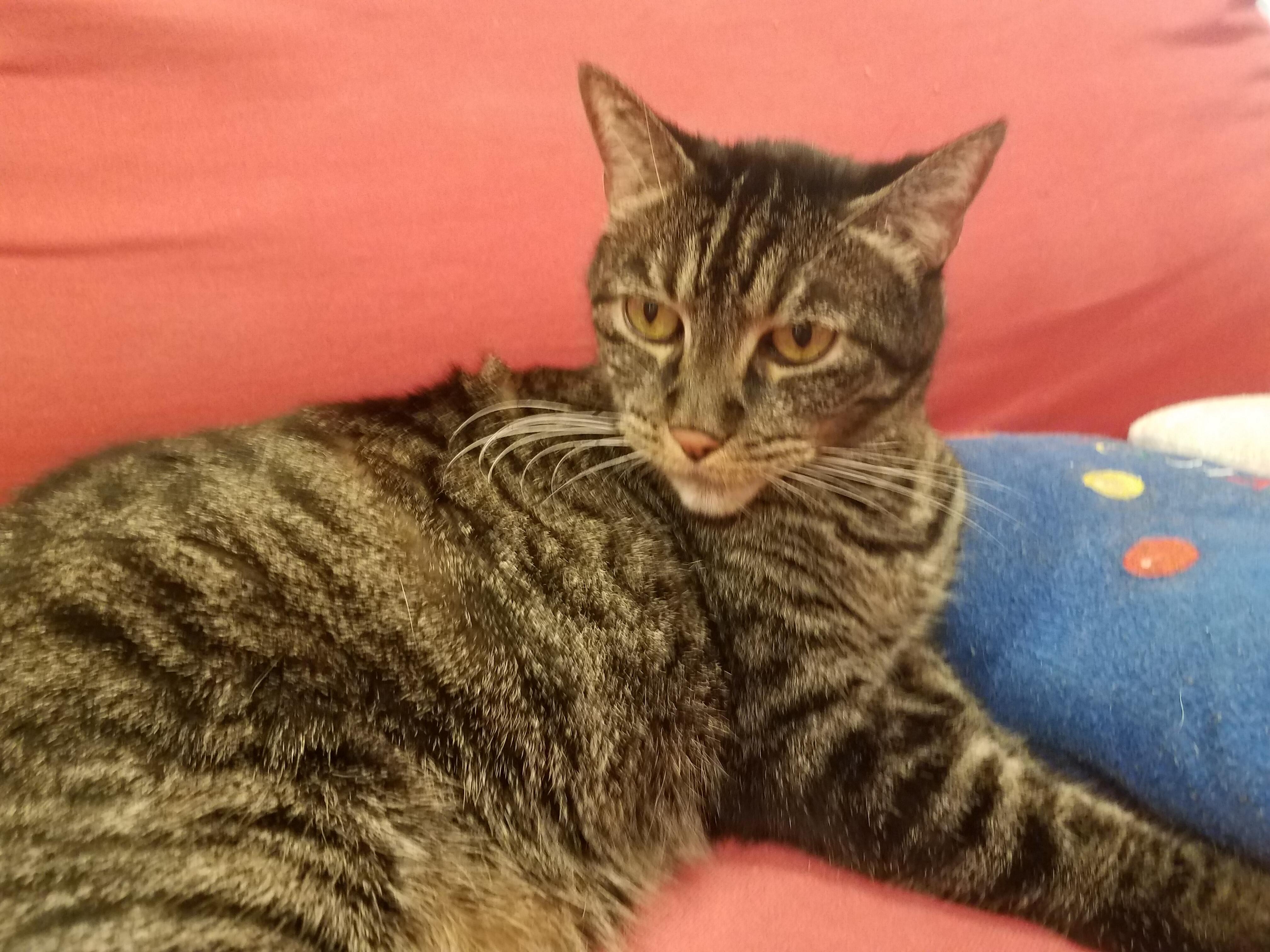 Question details sensitive content