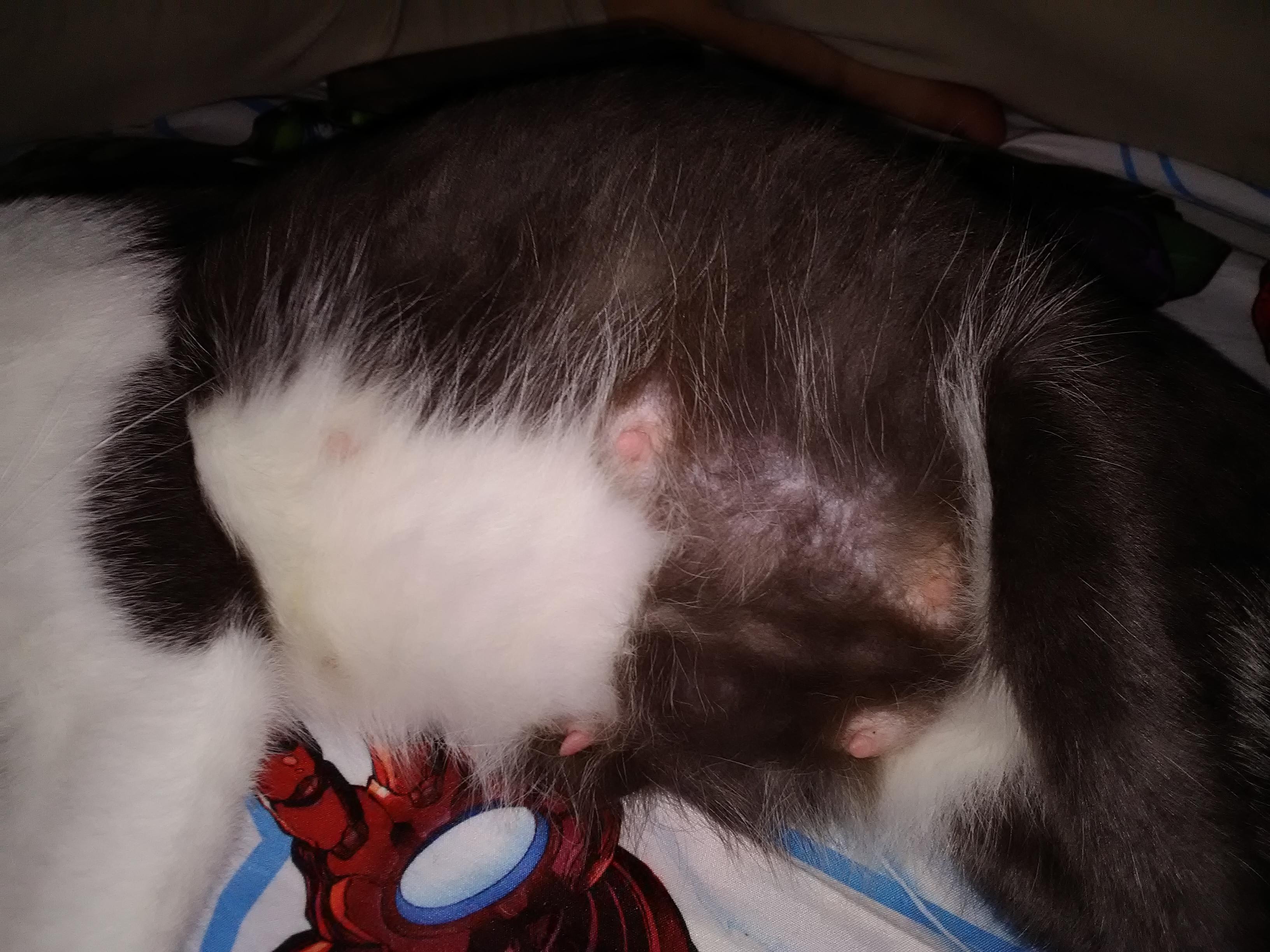 Question details sensitive content