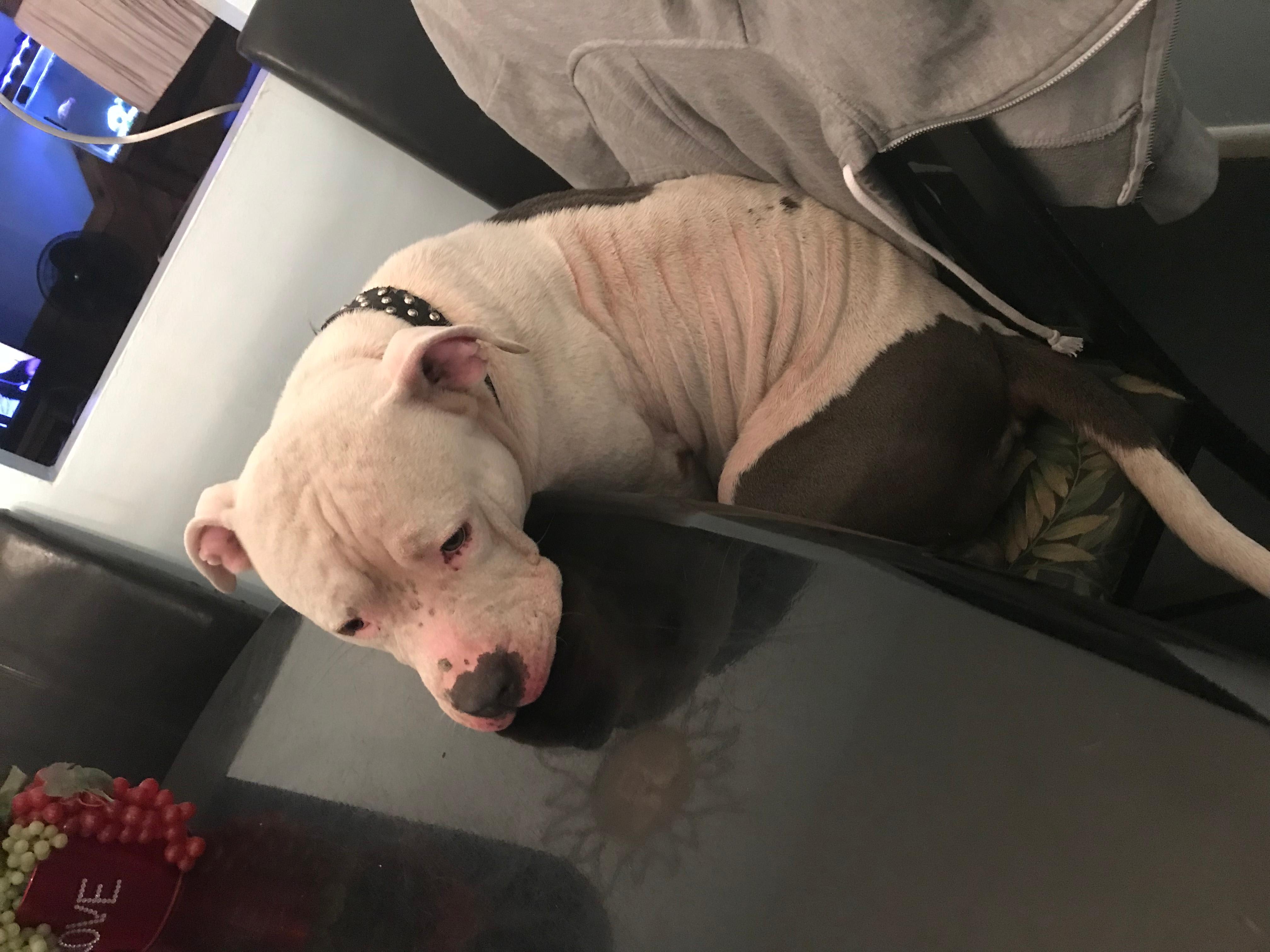 Question details sensitive content