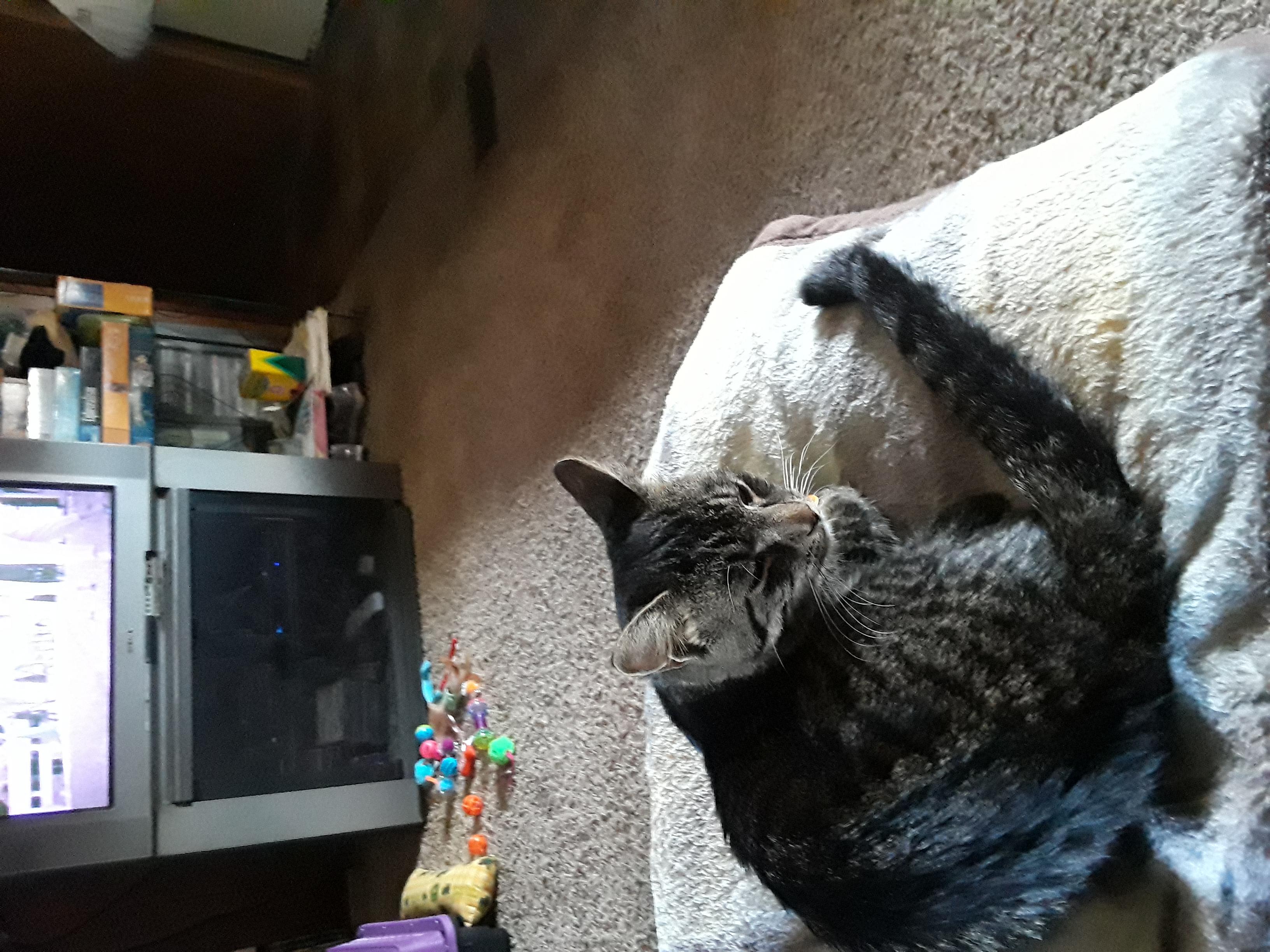 Question details sensitive content