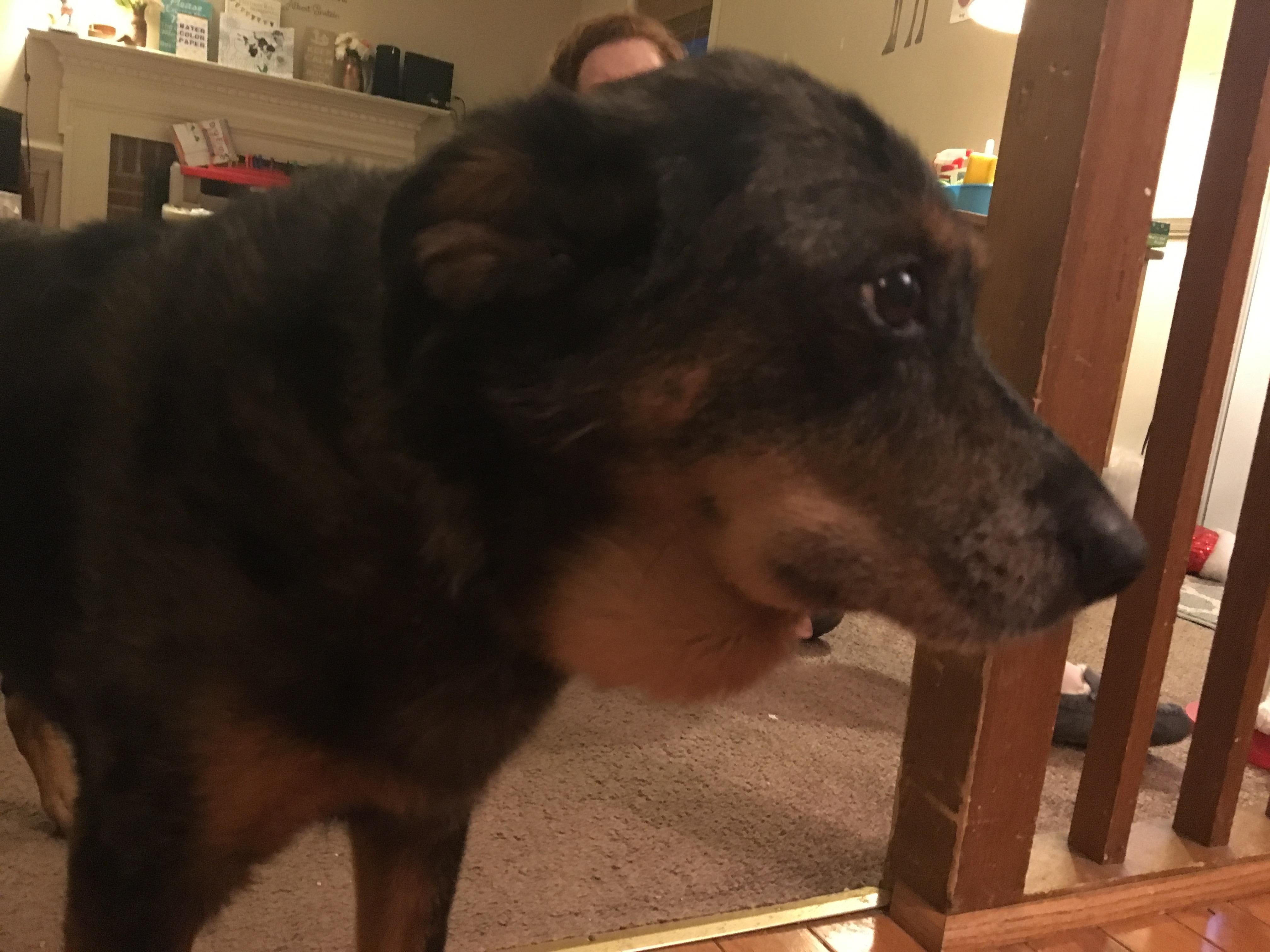 Question details sensitive content