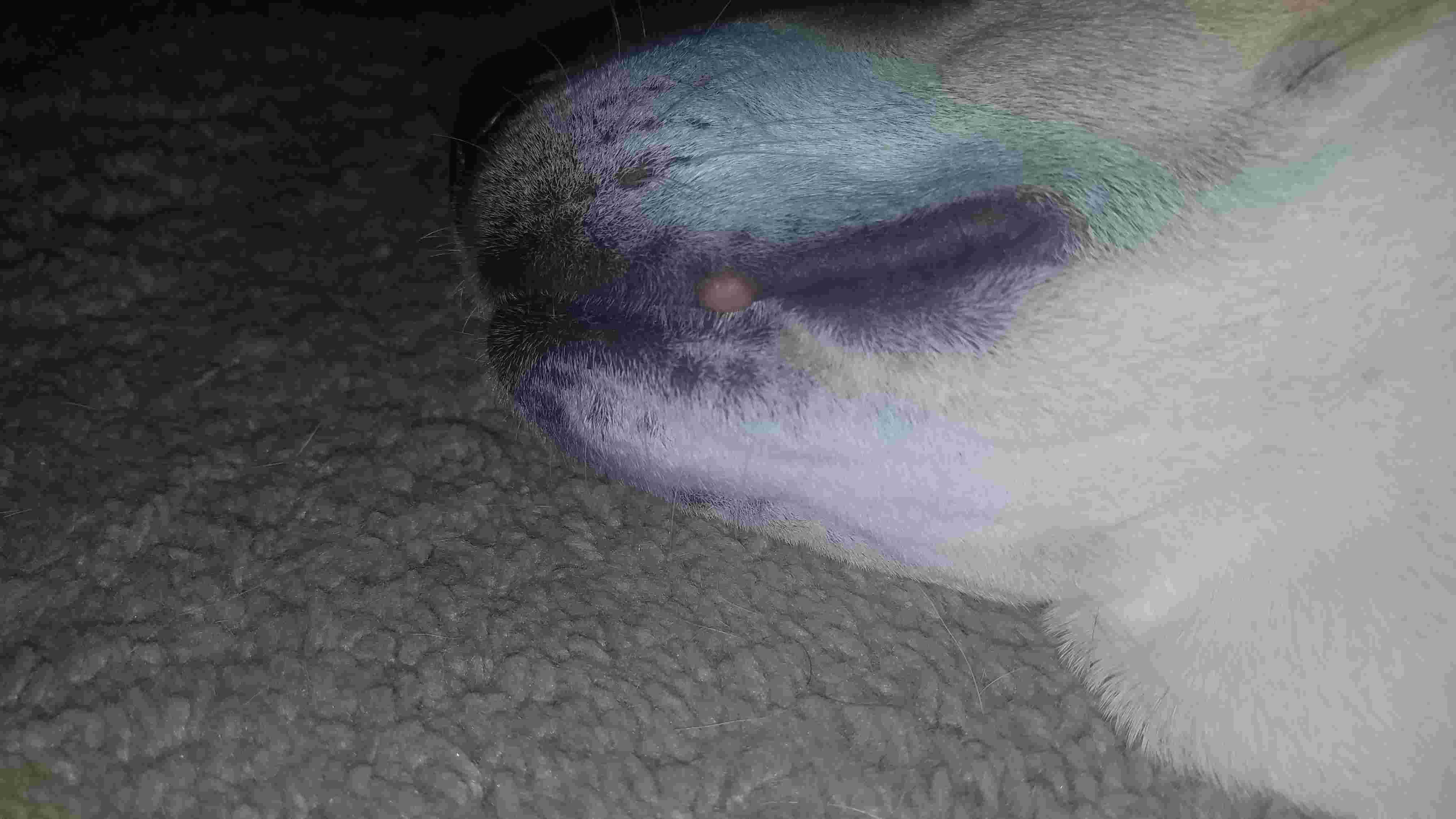 Question details sensitive content