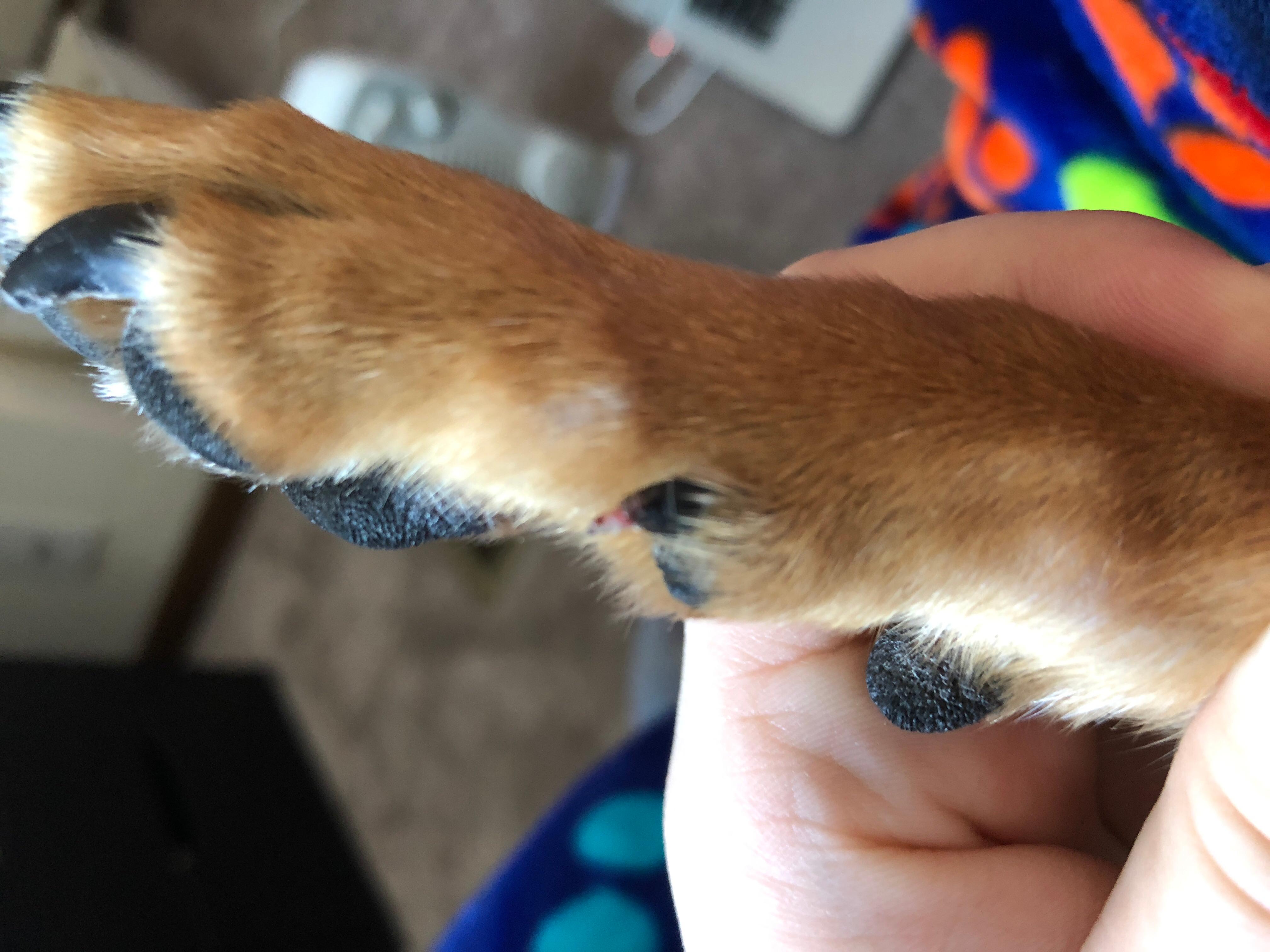 Question details sensitive content