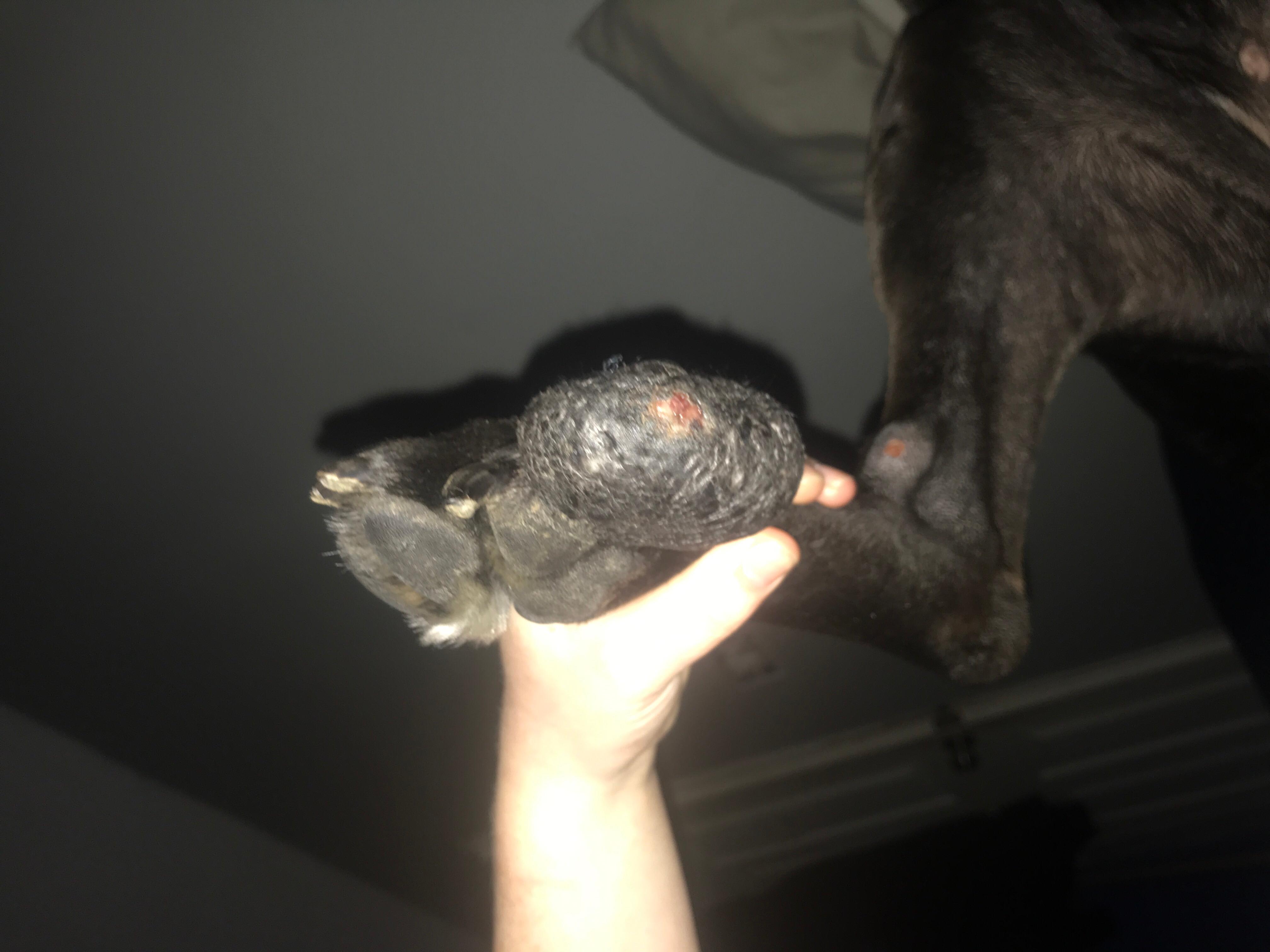 Question details sensitive content