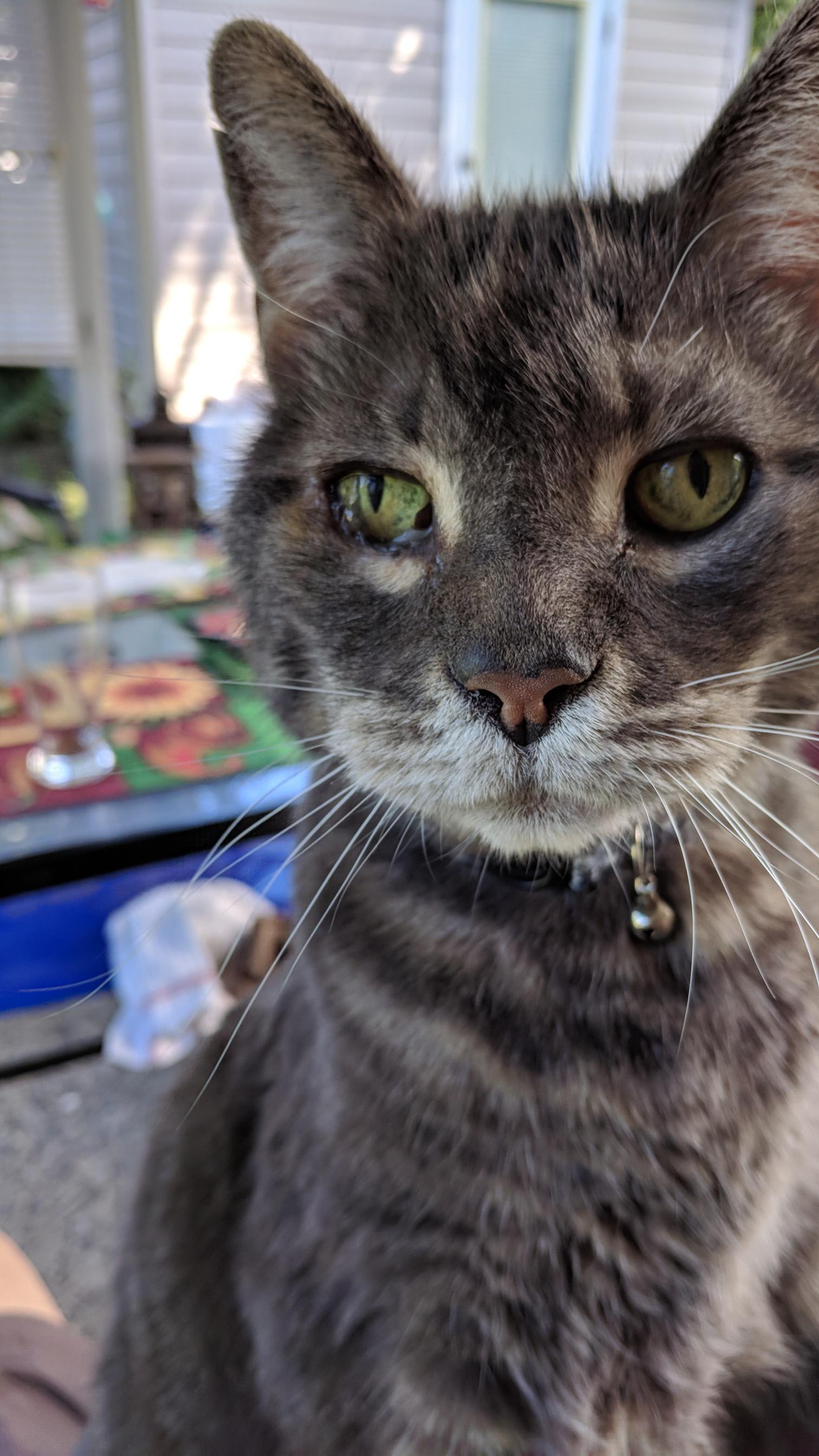 Question details sensitive content