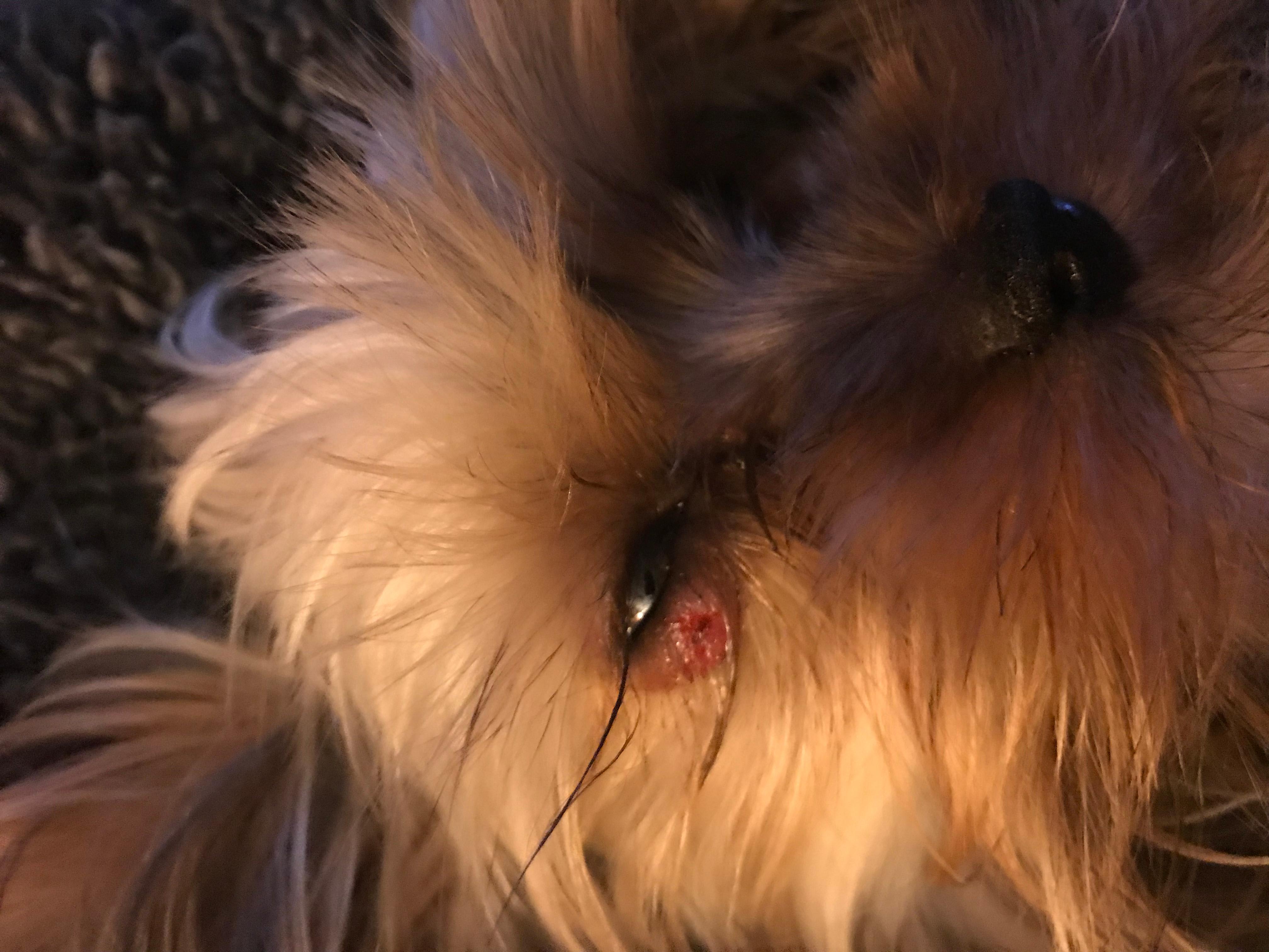 Question details sensitive content