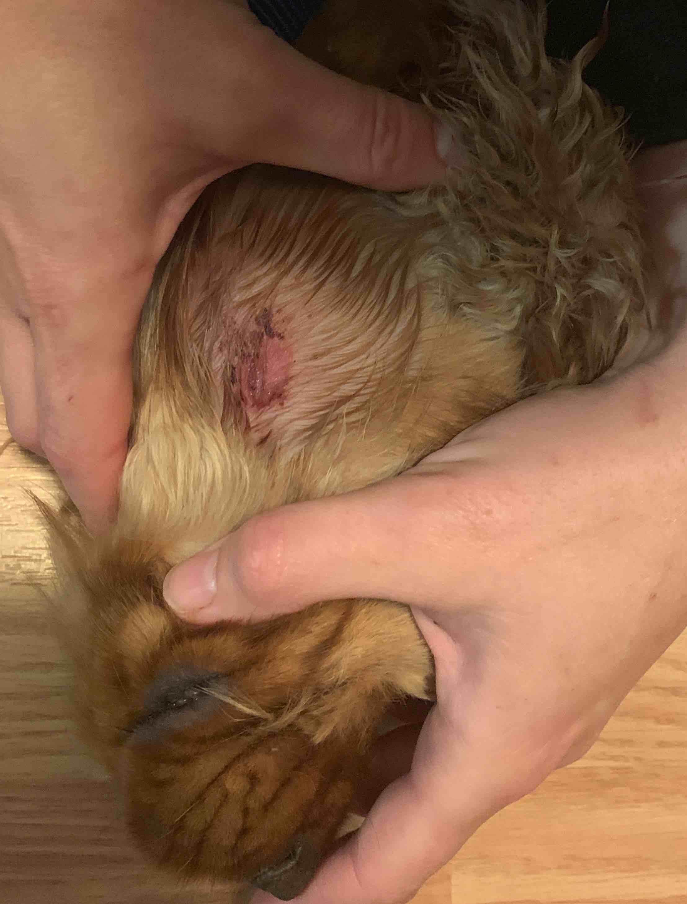 Question details sensitive content