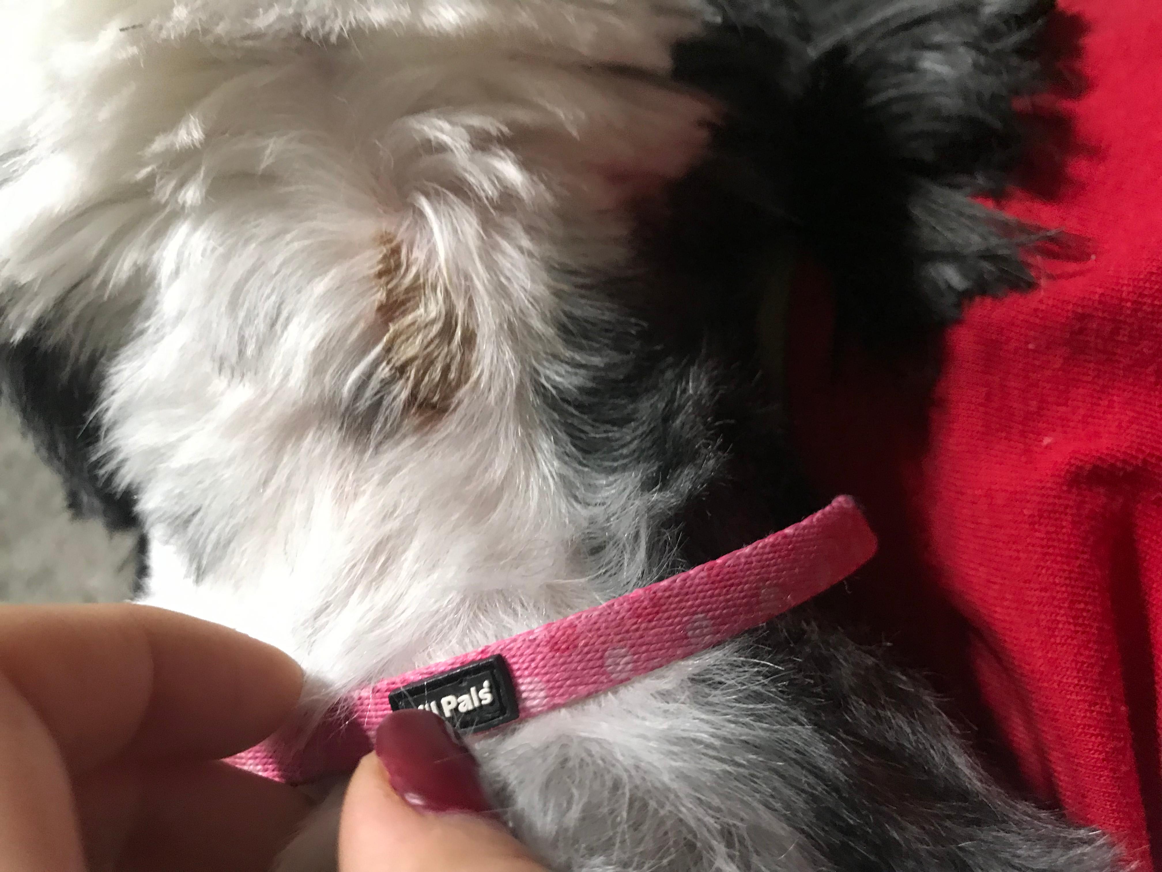 Question details sensitive content