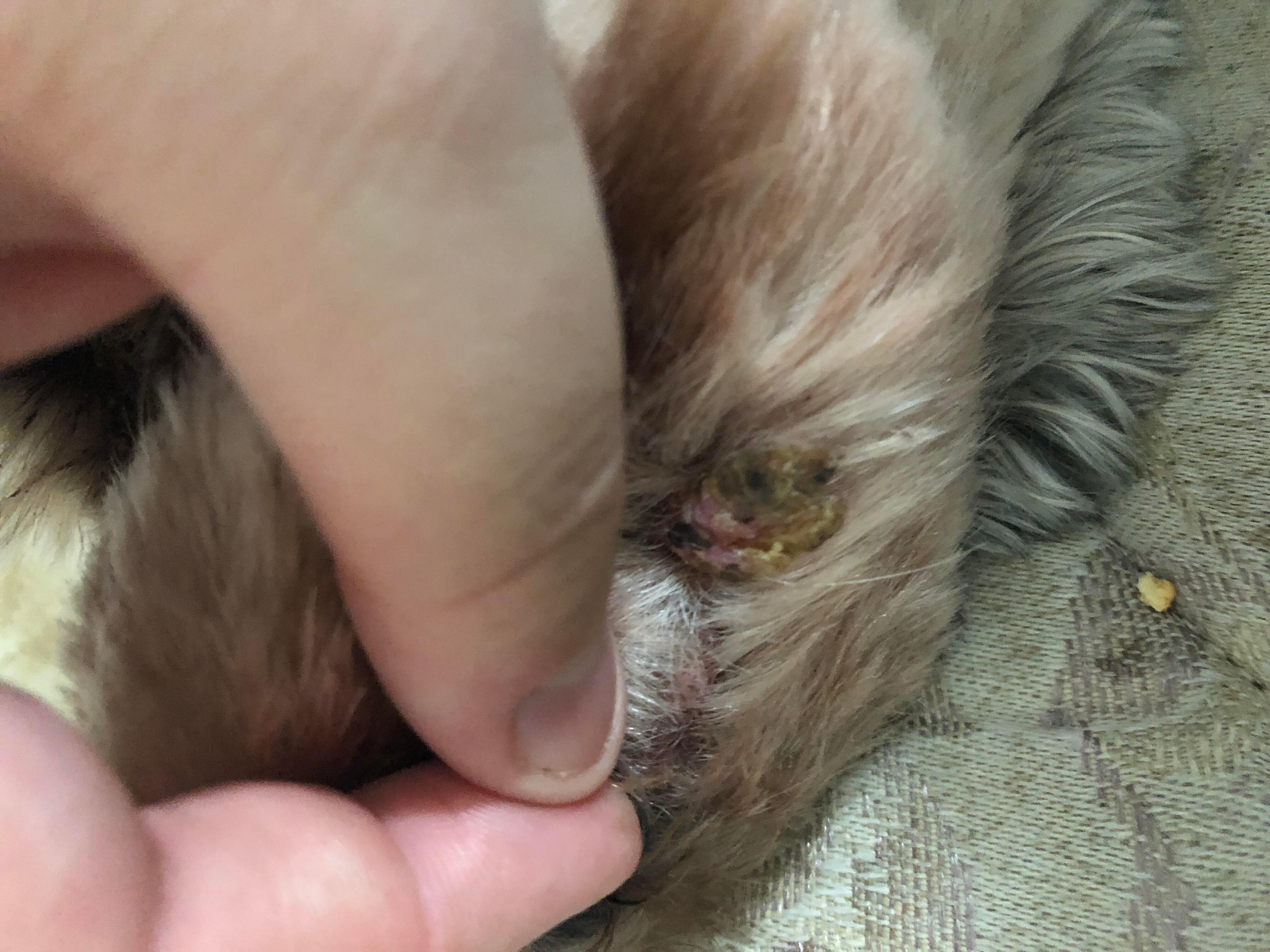 Question details sensitive content