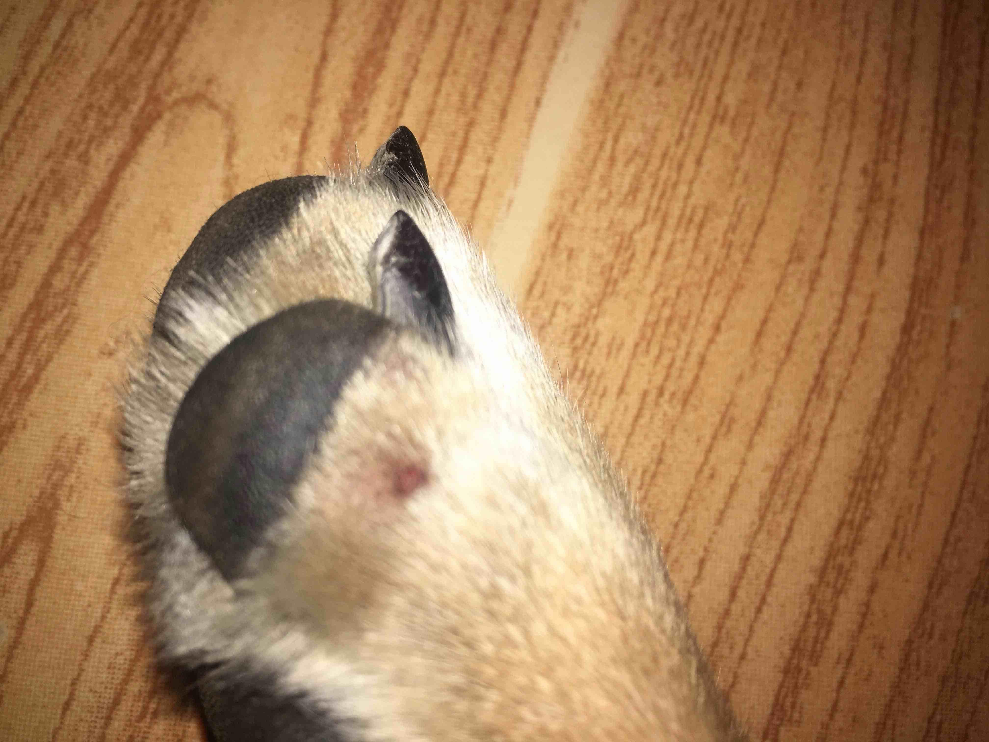 Question details sensitive content