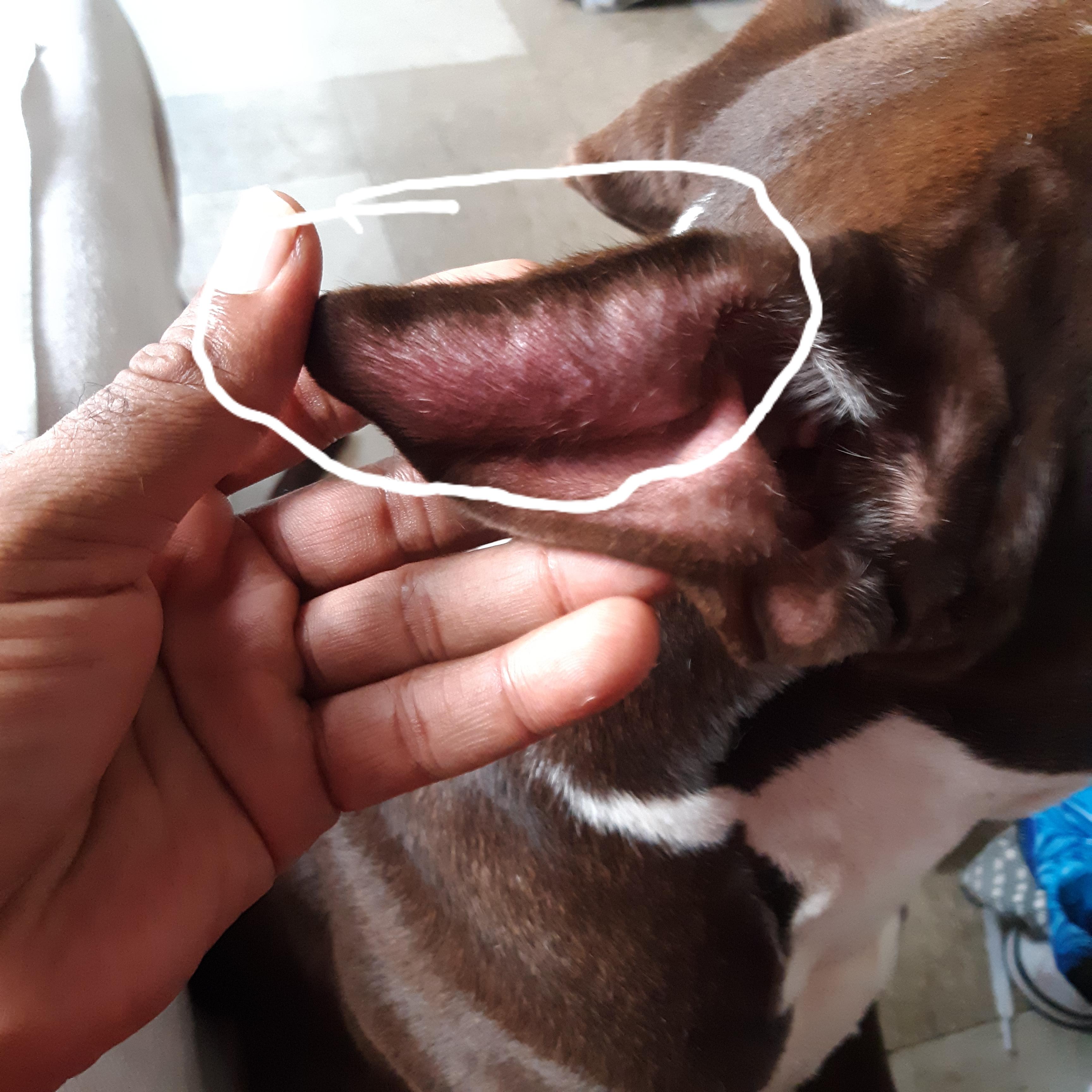 Question details sensitive content