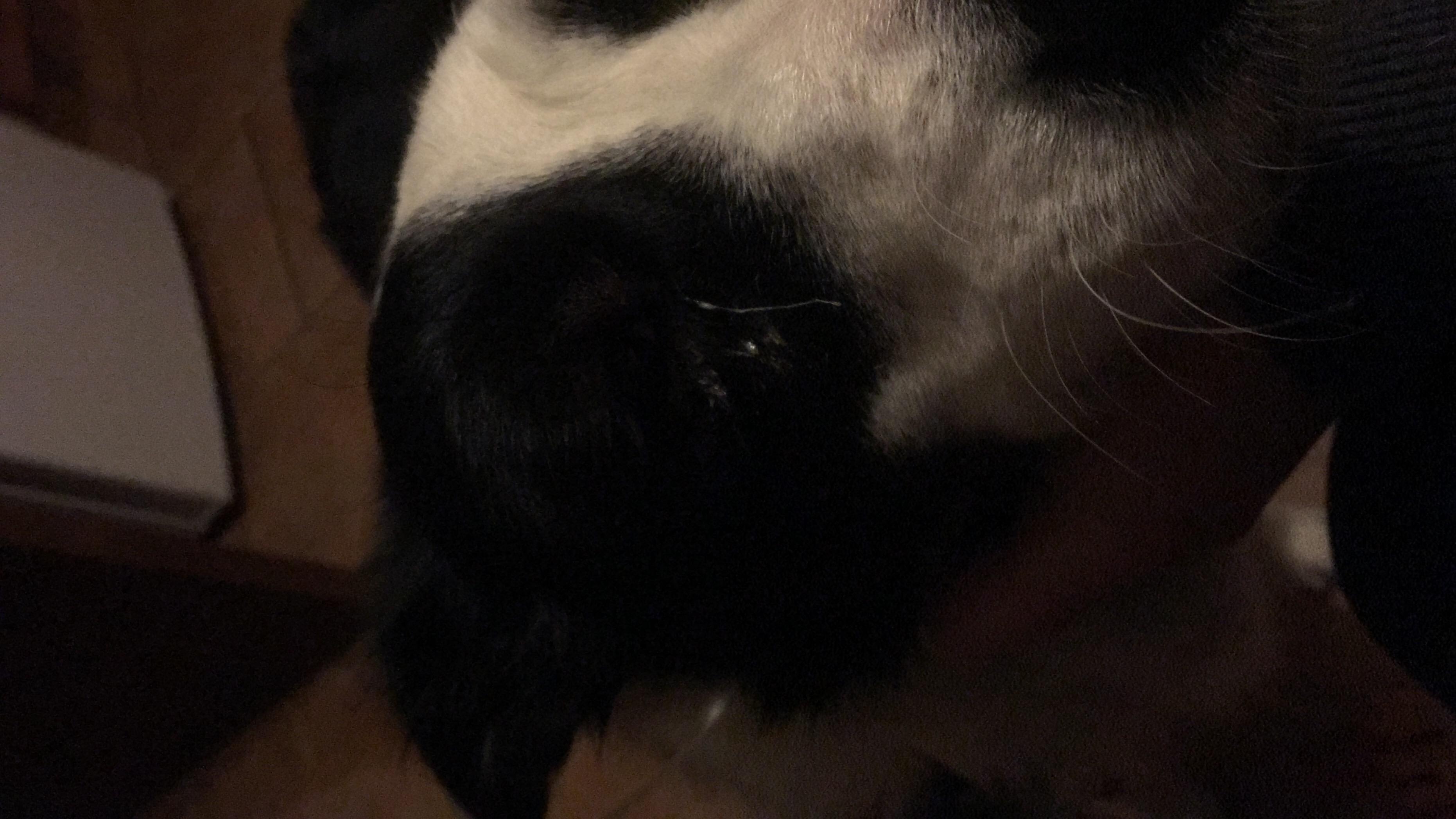 Question details sensitive content