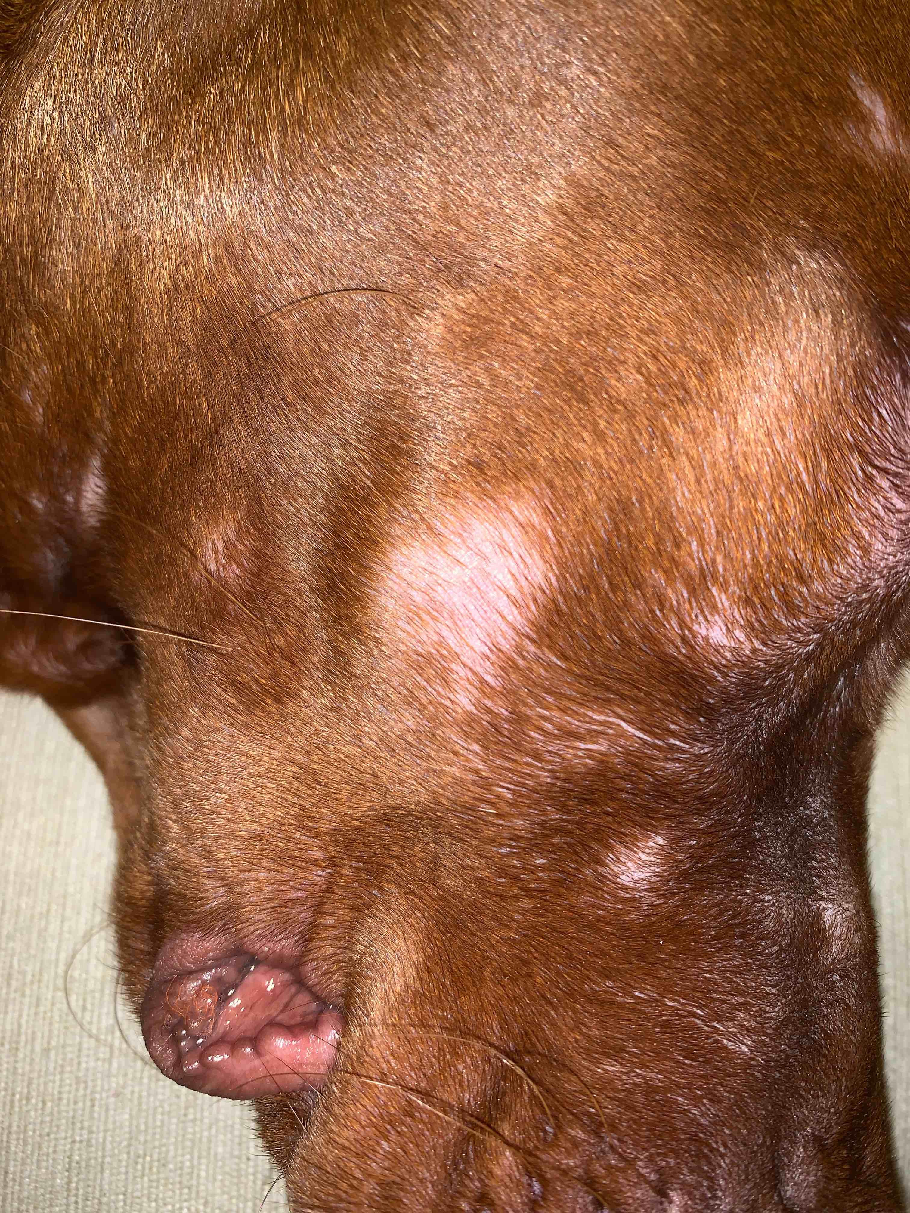 Question details sensitive content