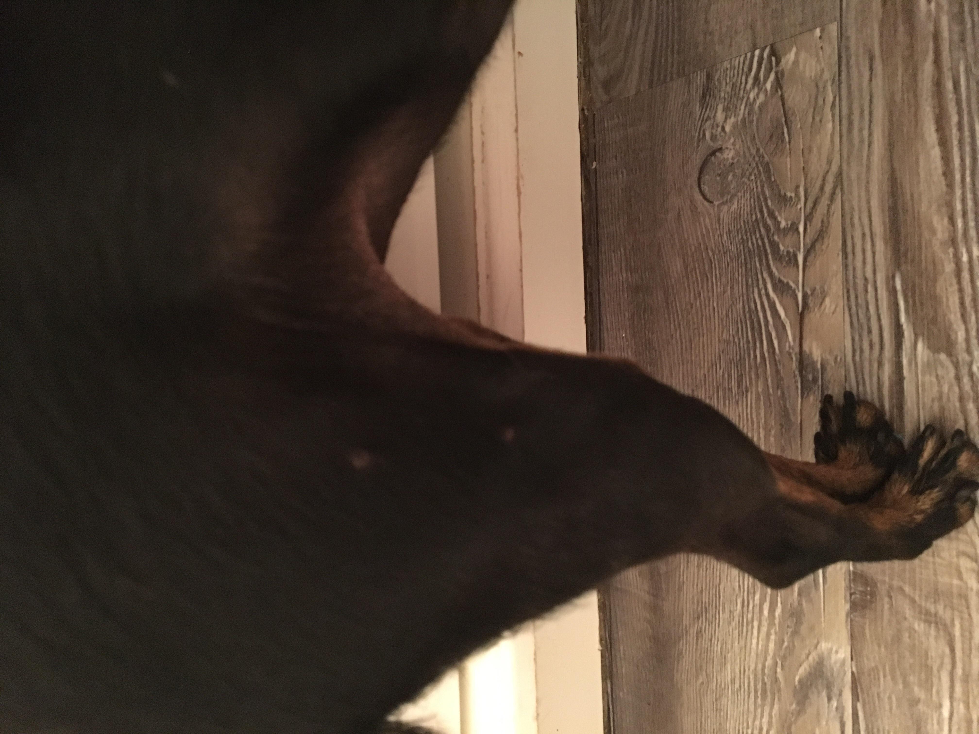 Question details sensitive content