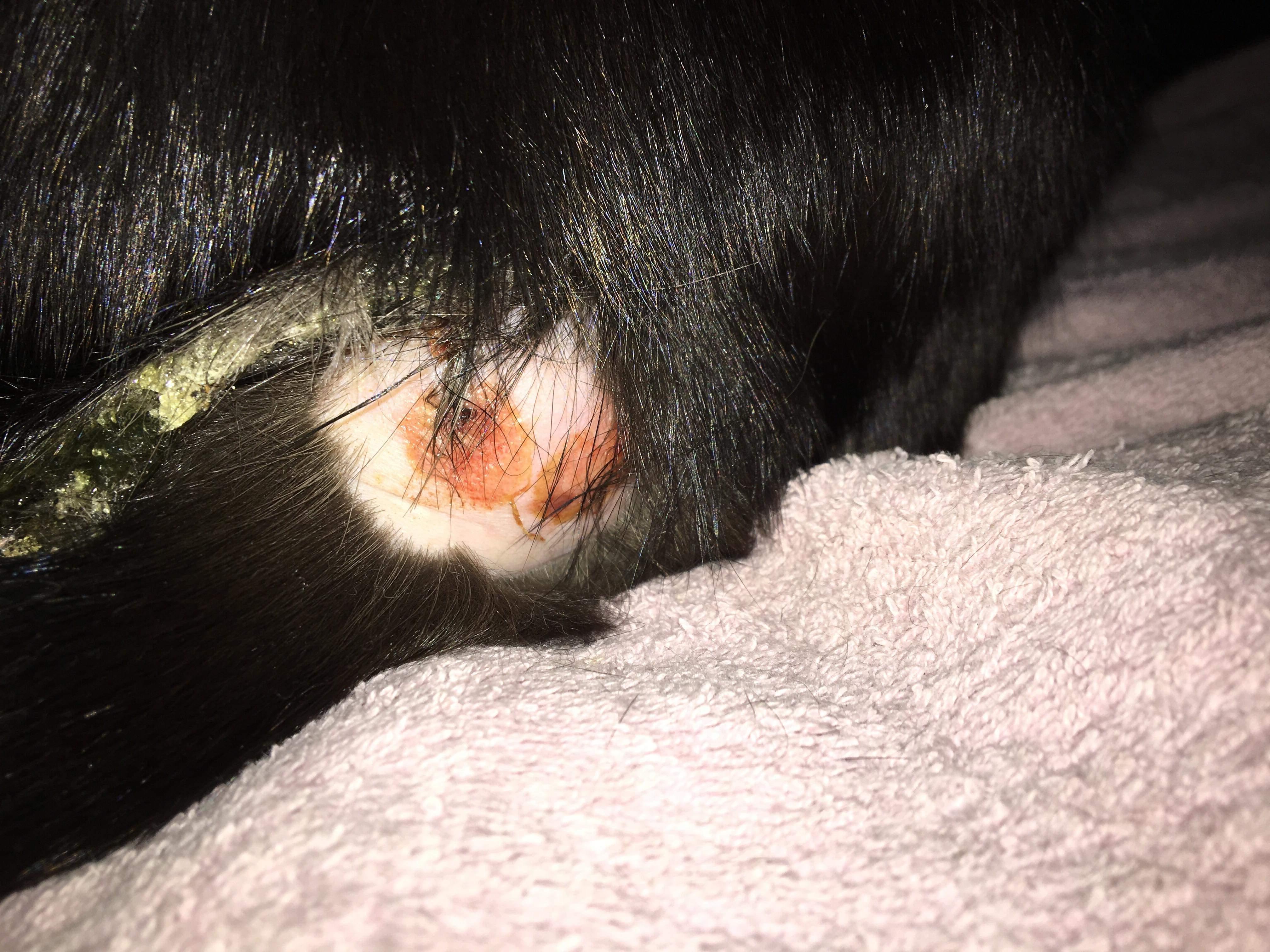 Question details sensitive content