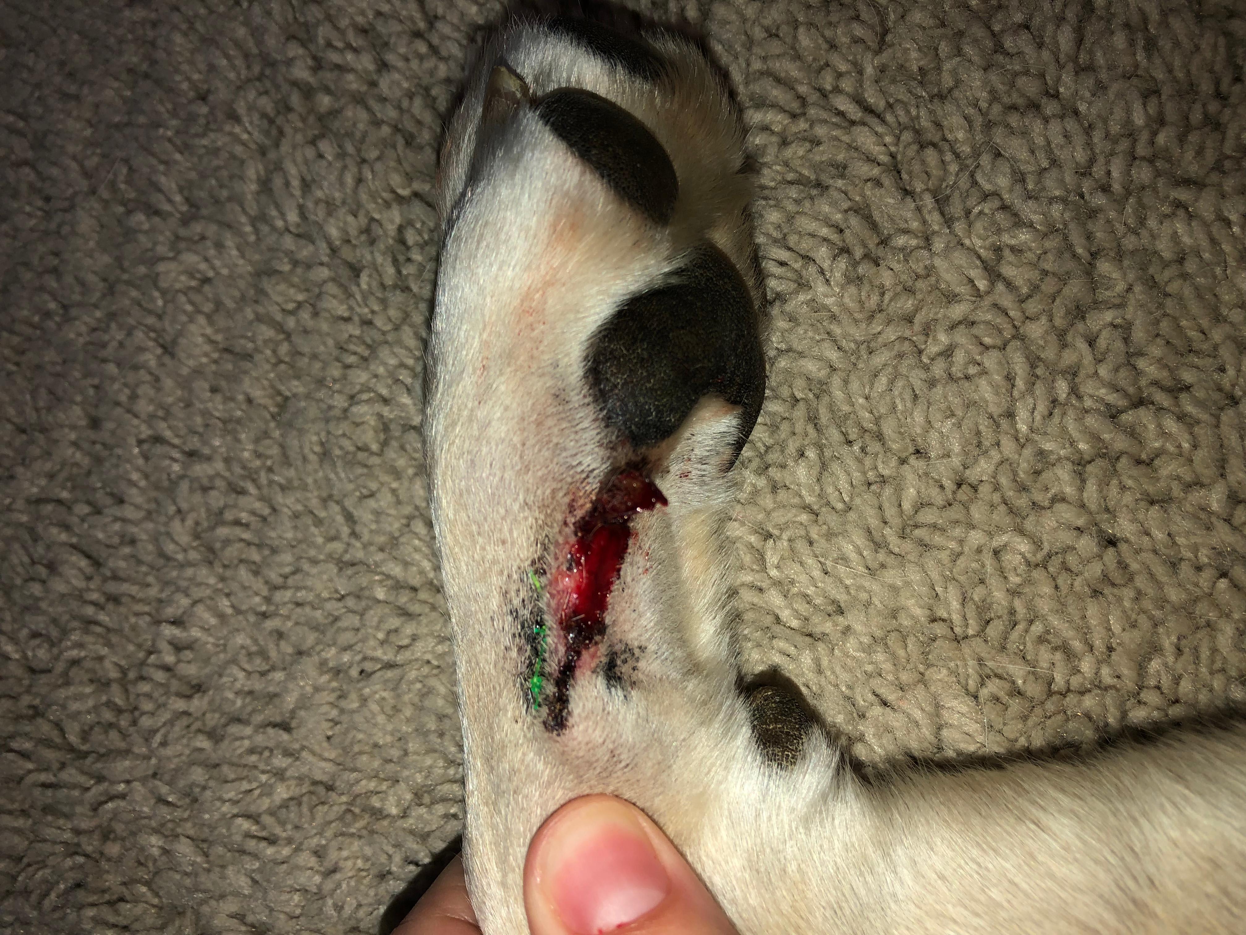 Question details sensitive content