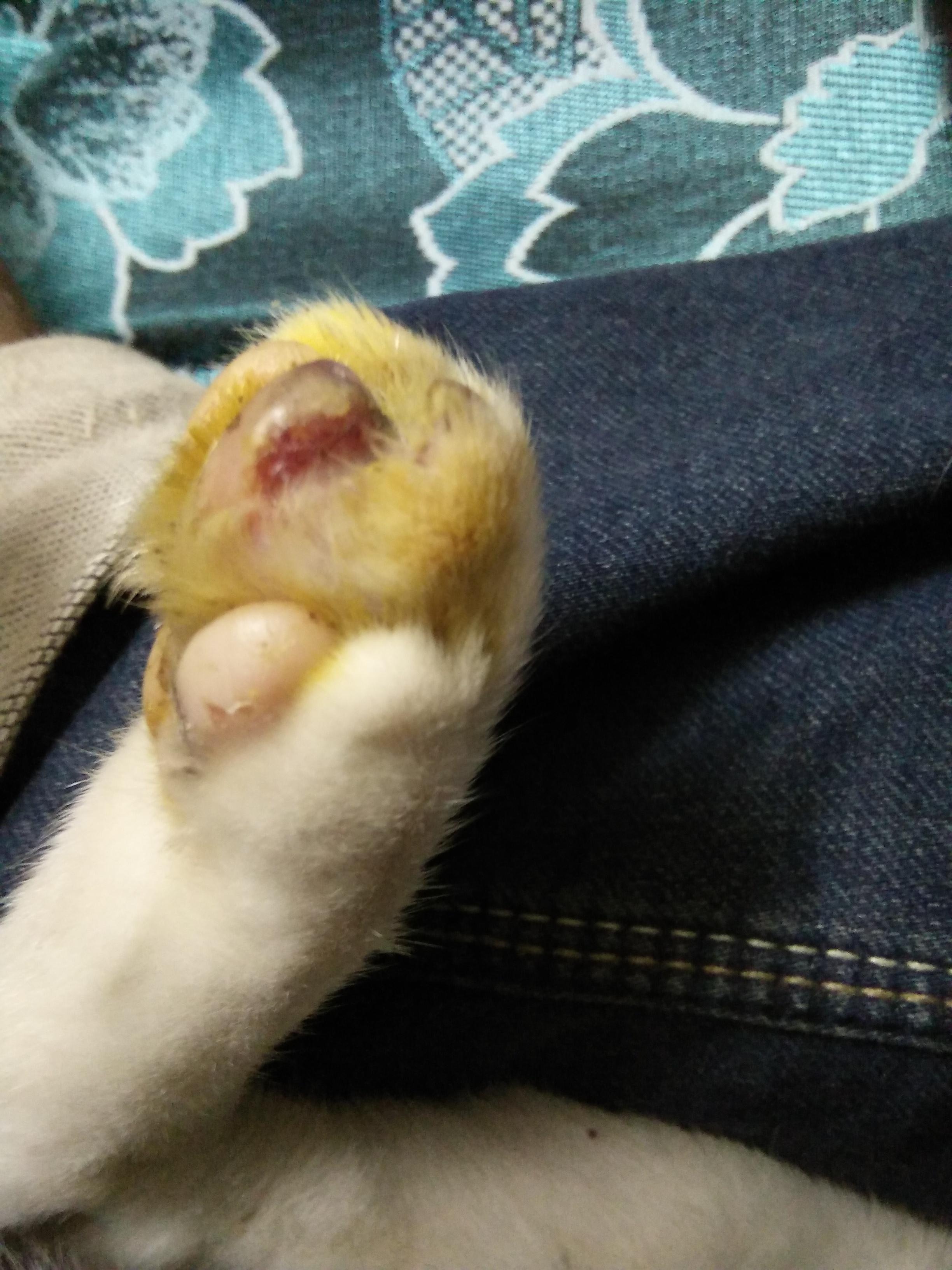 Question details sensitive content