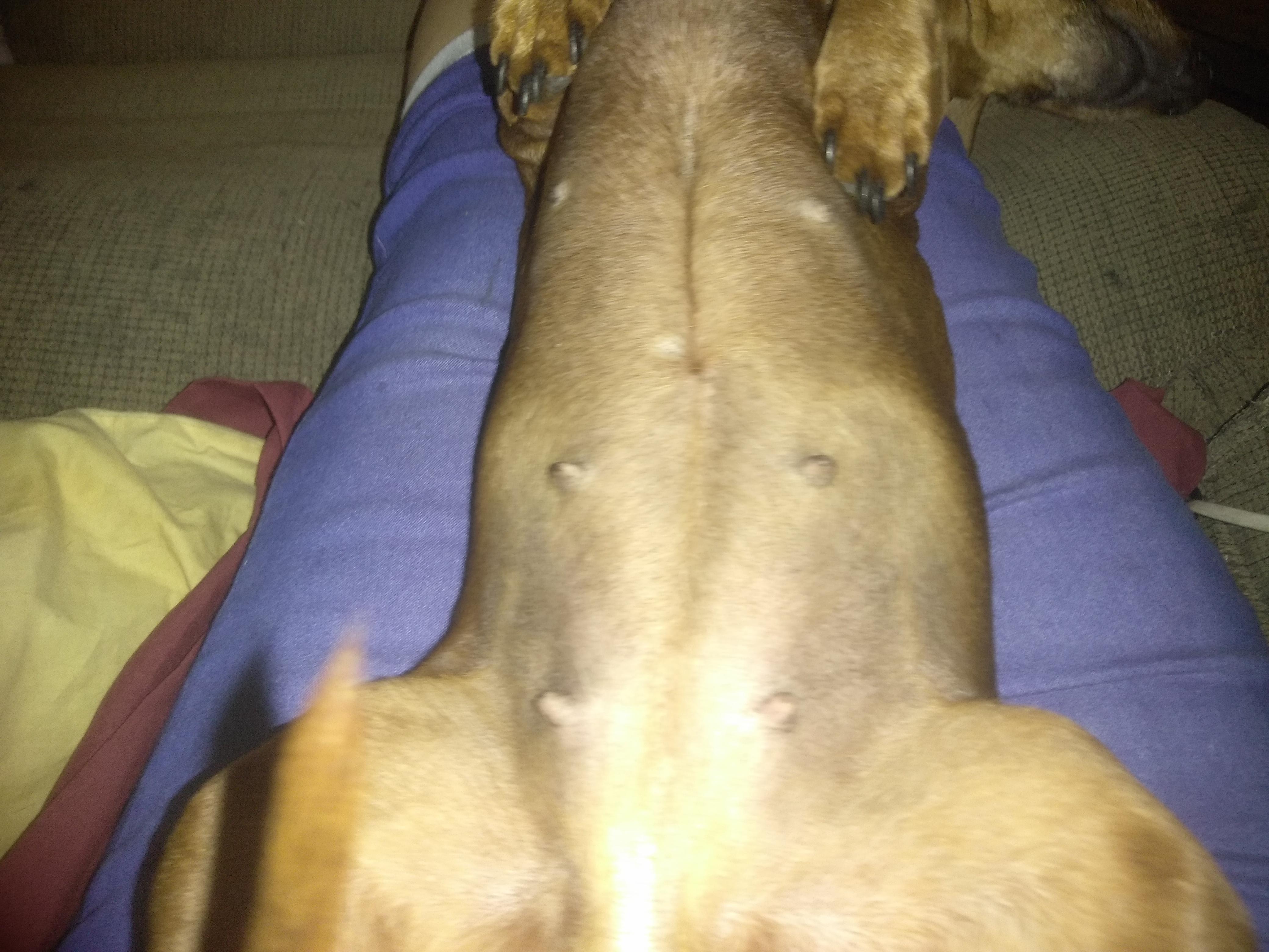 Question details sensitive content