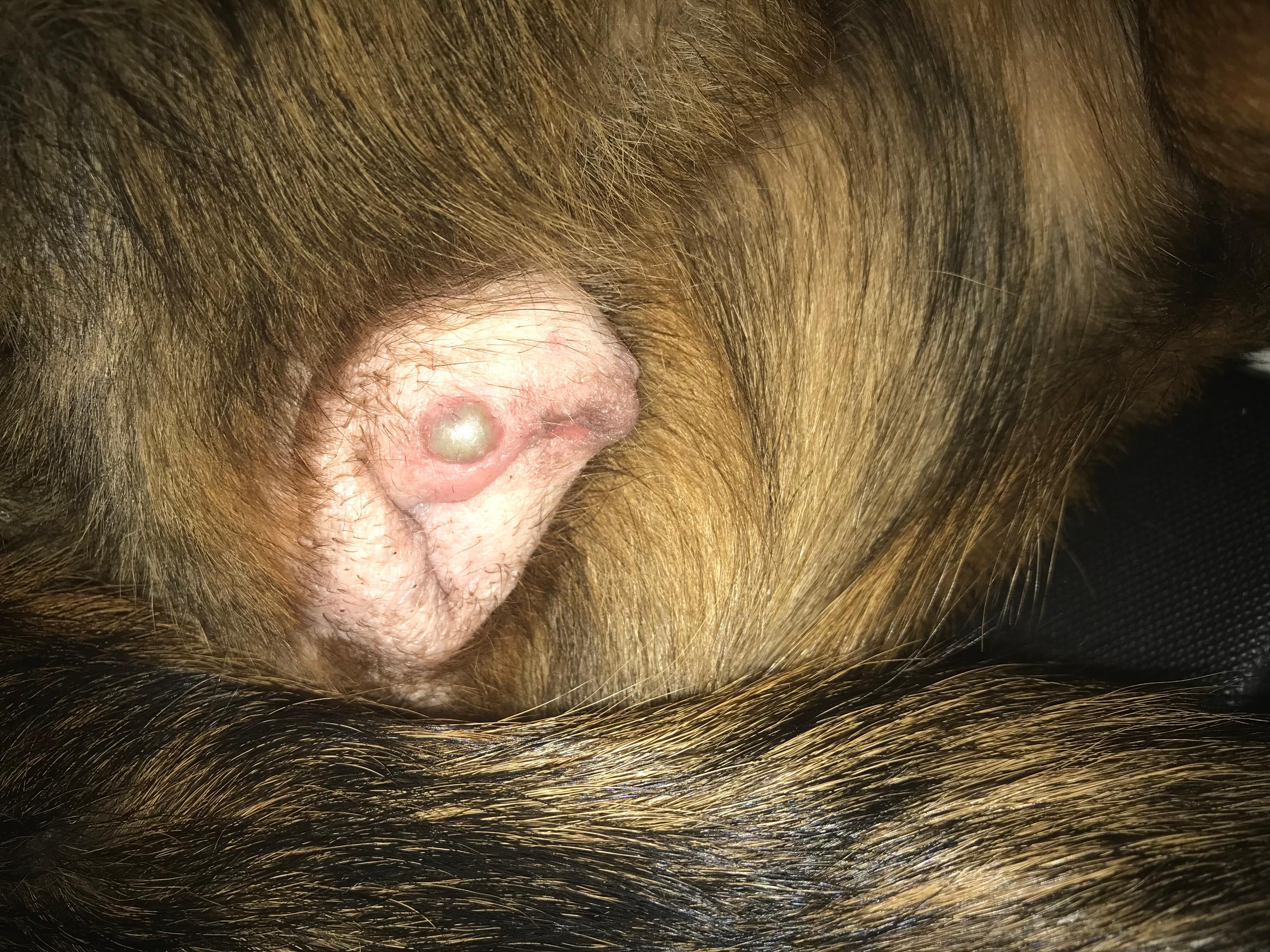 Question details sensitive content