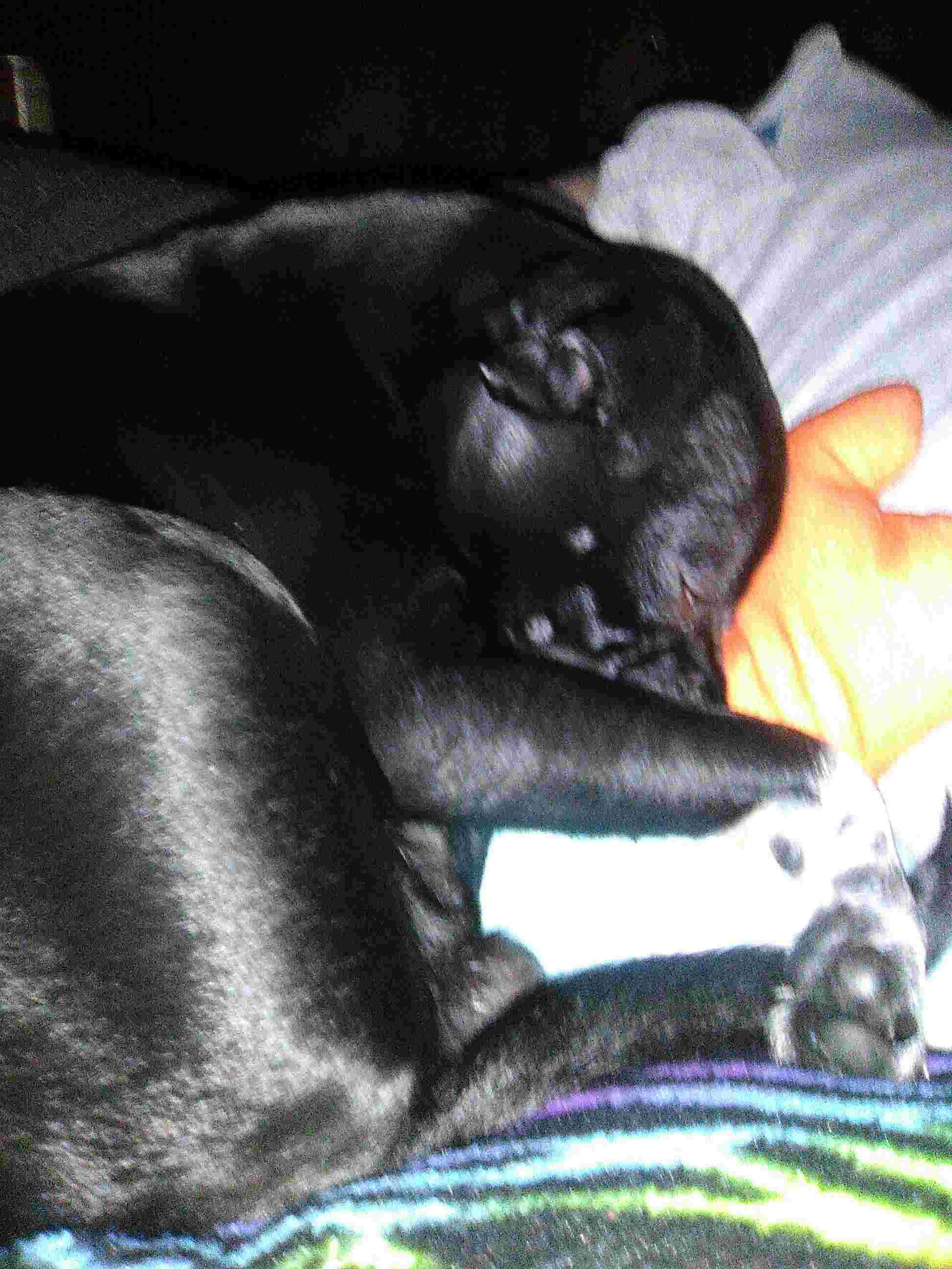 Question details sensitive content