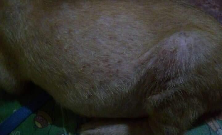 Question details sensitive content